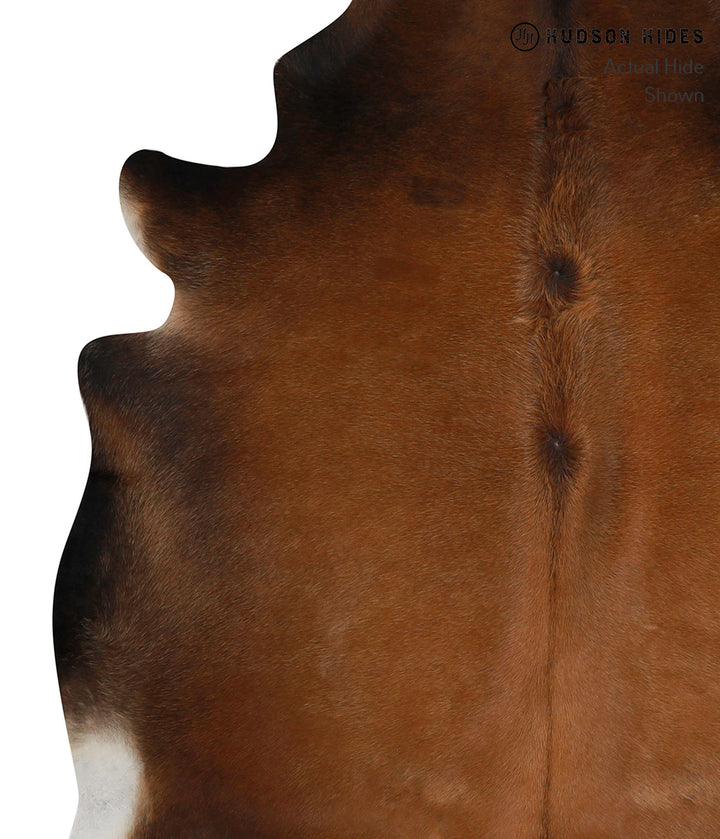 Chocolate Large Brazilian Cowhide Rug 6'5"H x 5'8"W #84700 by Hudson Hides