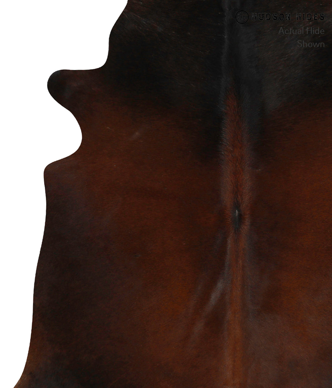 Chocolate Large Brazilian Cowhide Rug 6'0"H x 6'2"W #84728 by Hudson H