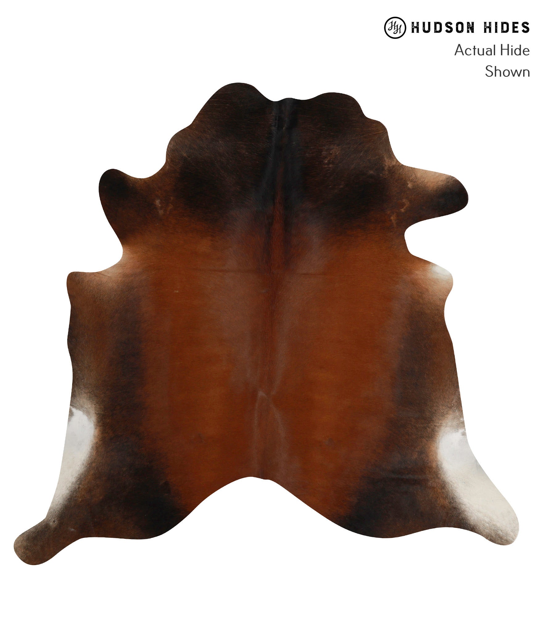 Chocolate Cowhide Rug #84729