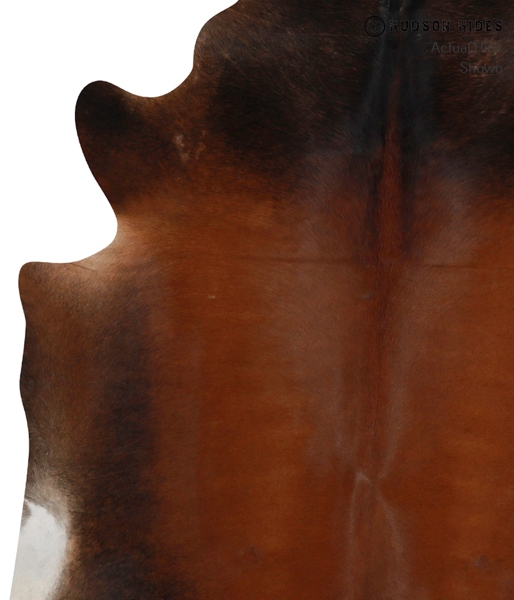 Chocolate Cowhide Rug #84729