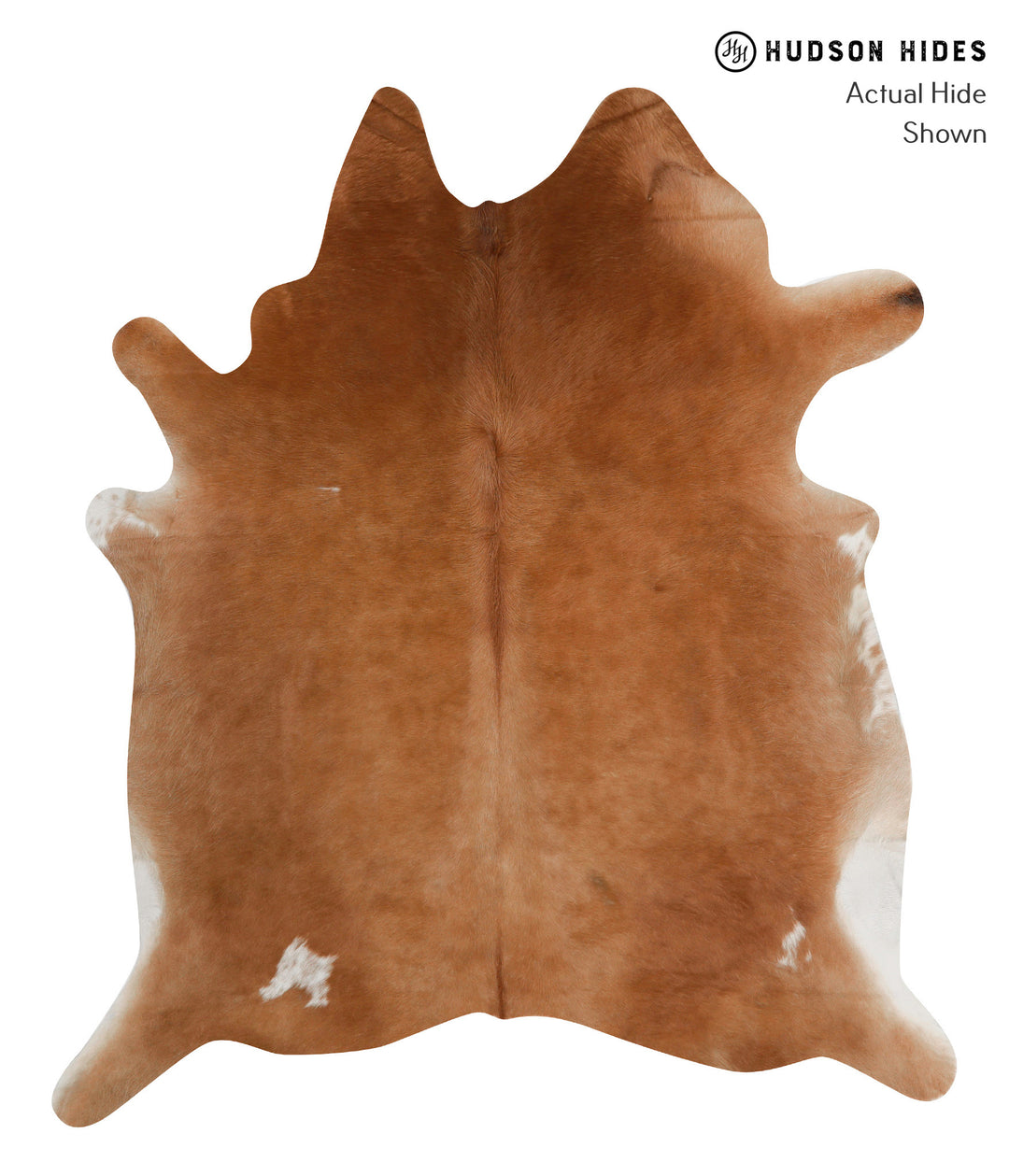 Solid Brown X-Large Brazilian Cowhide Rug 6'11"H x 6'0"W #84747 by Hud