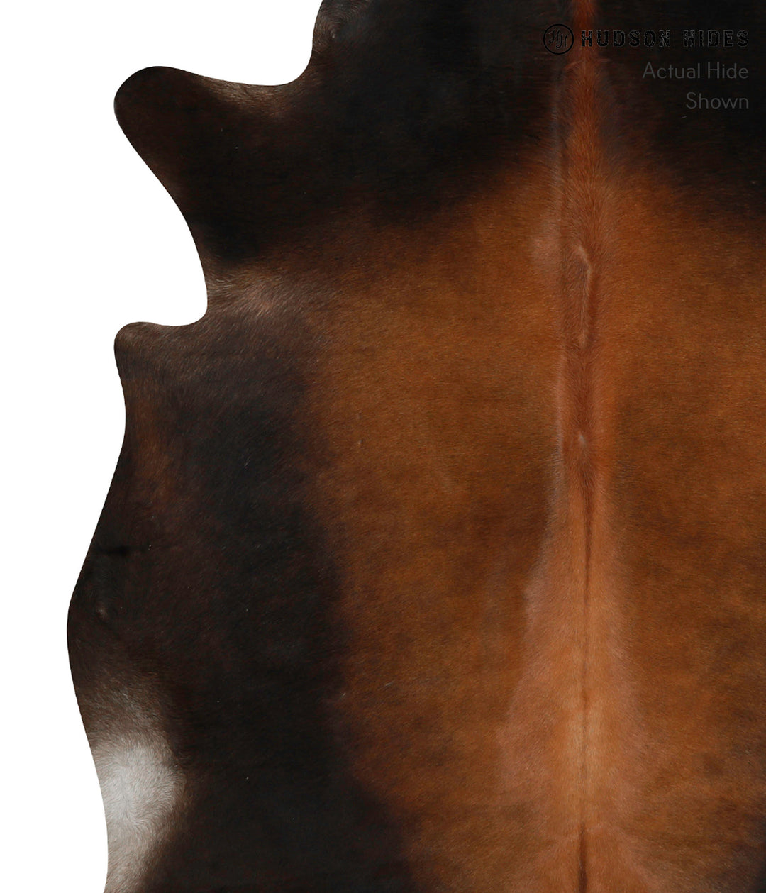 Chocolate Large Brazilian Cowhide Rug 6'6"H x 5'9"W #84754 by Hudson H