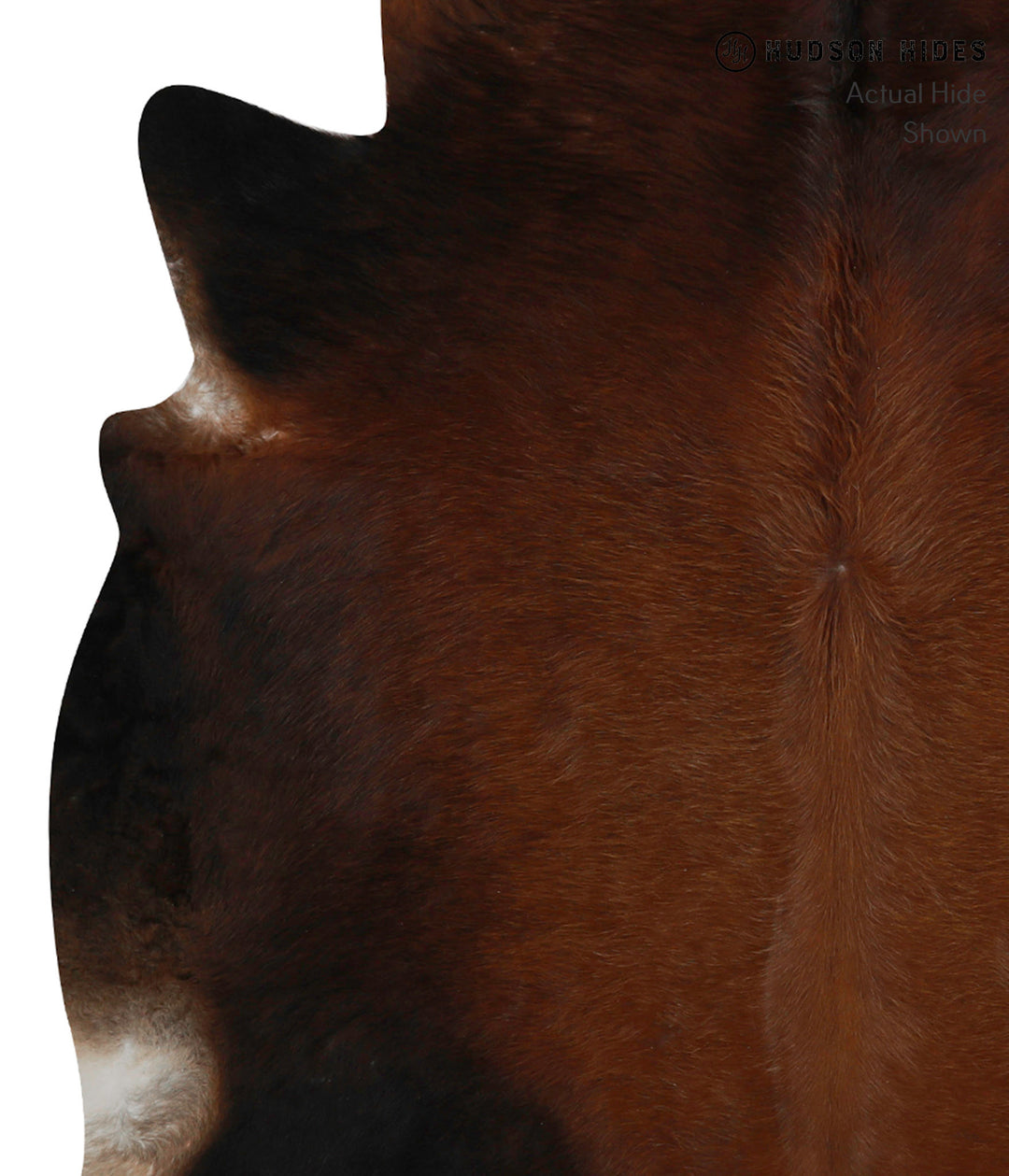 Chocolate X-Large Brazilian Cowhide Rug 6'6"H x 6'10"W #84776 by Hudso
