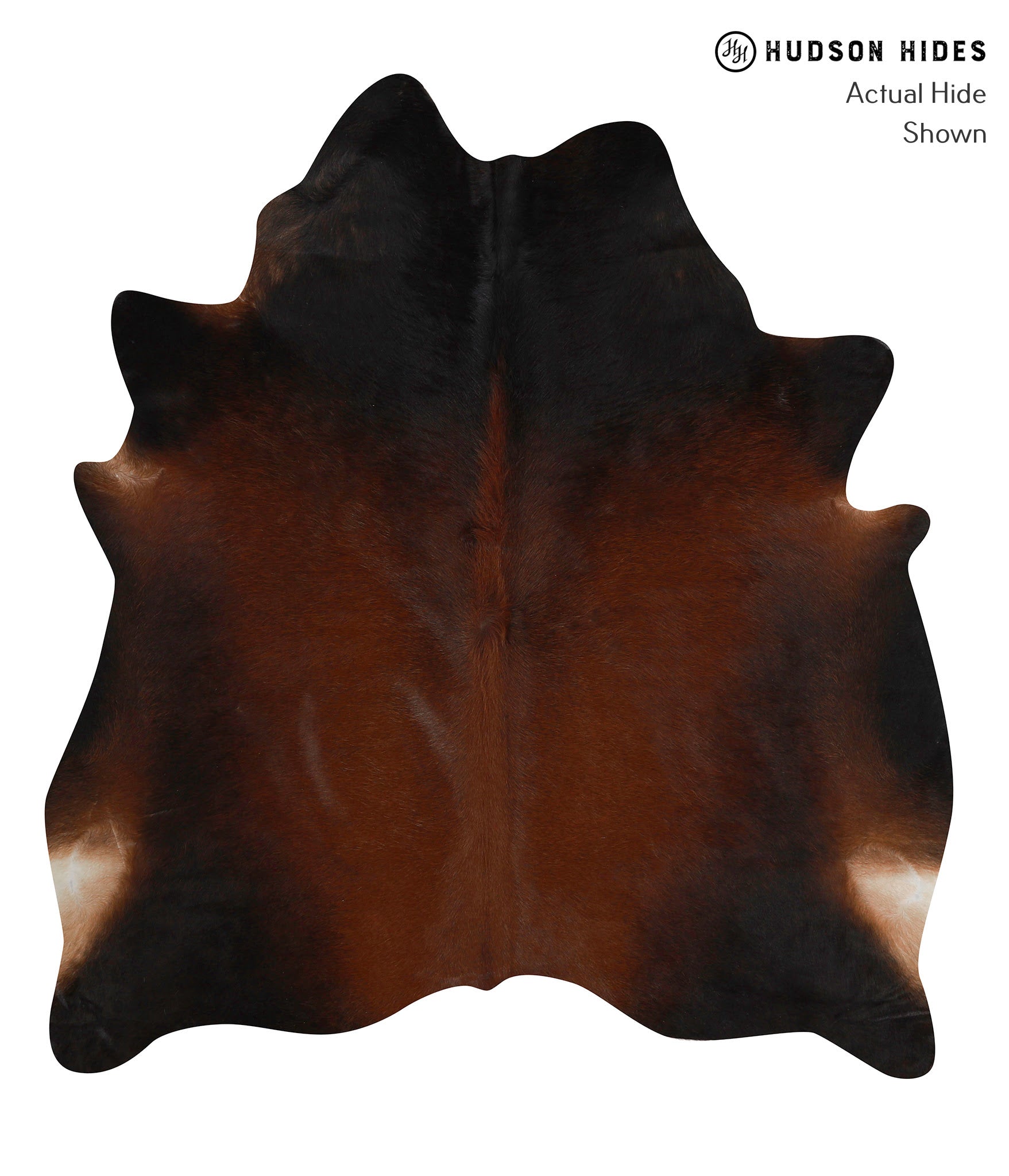 Brown with Red Cowhide Rug #84794