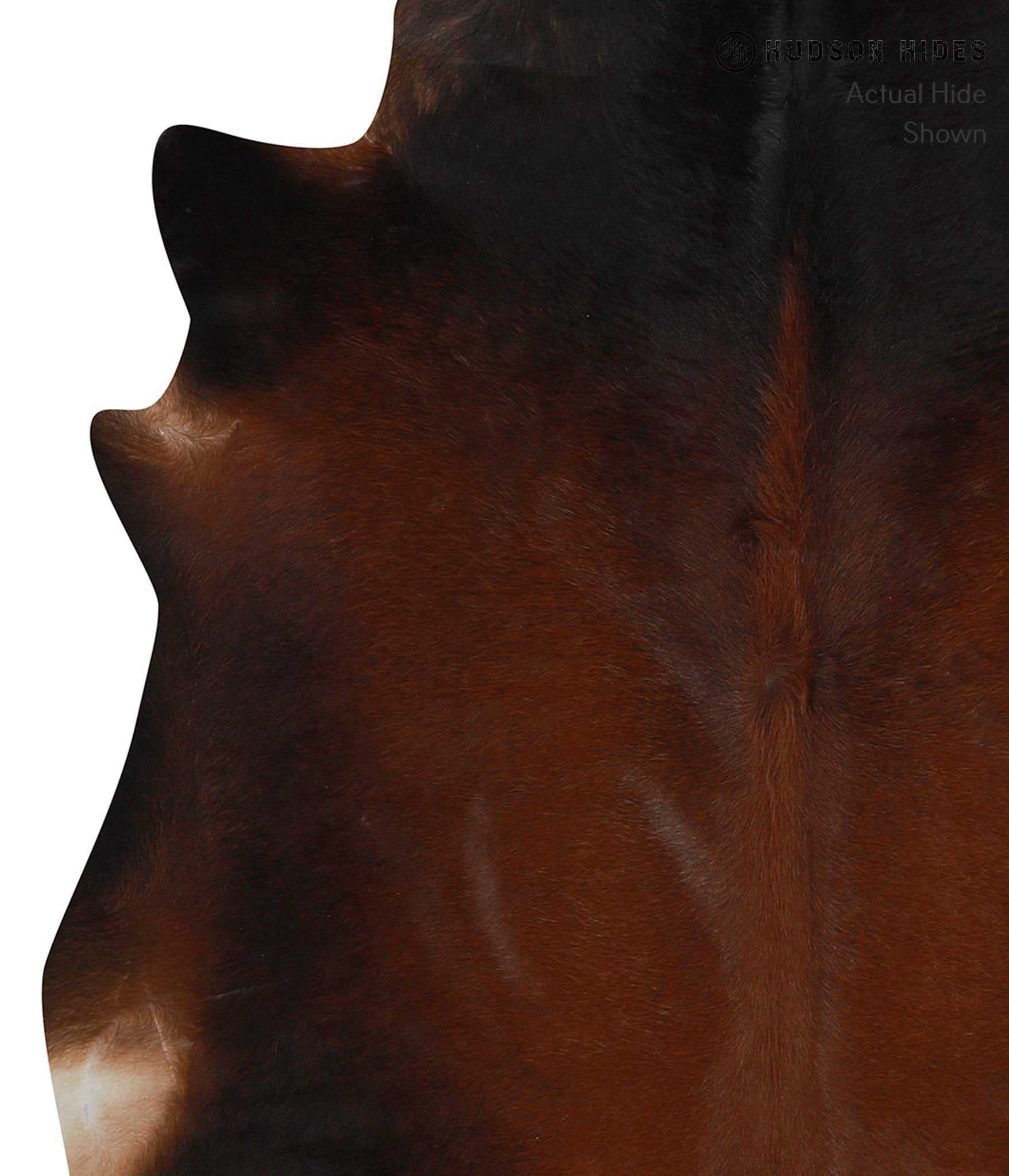 Brown with Red Cowhide Rug #84794