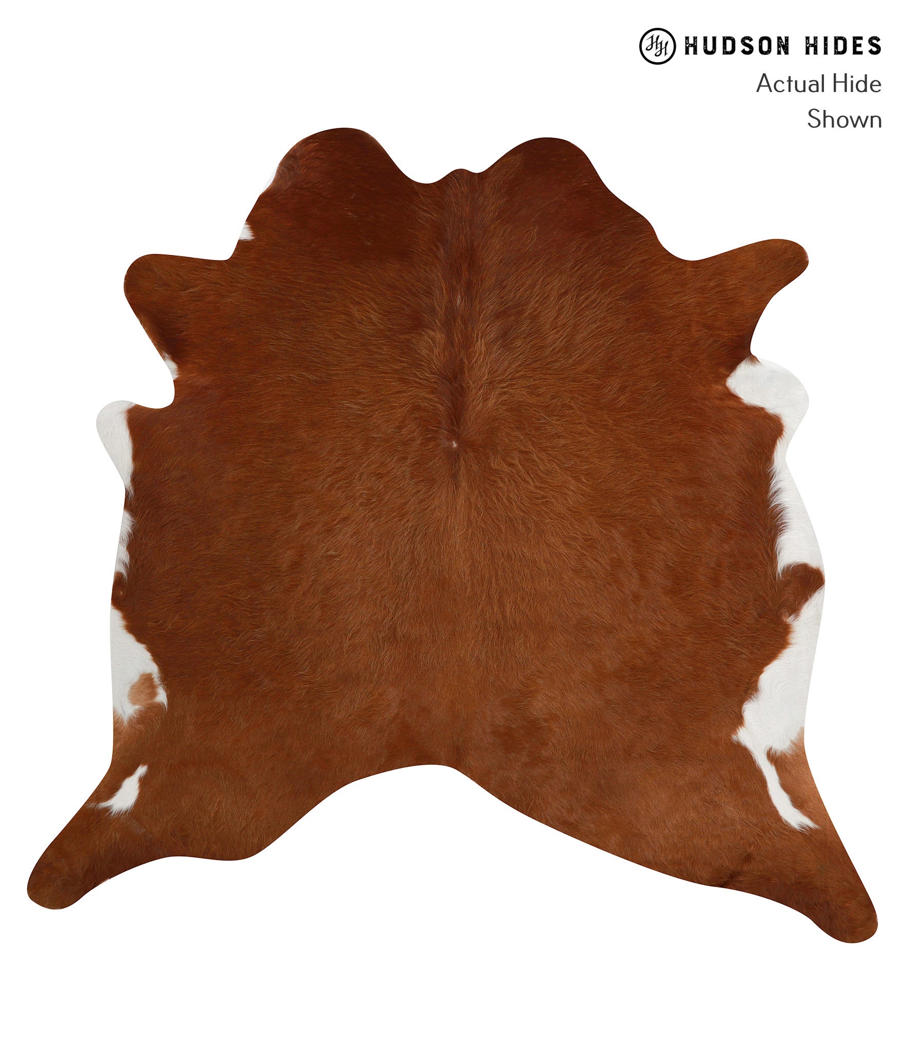 Solid Brown Cowhide Rug #84802