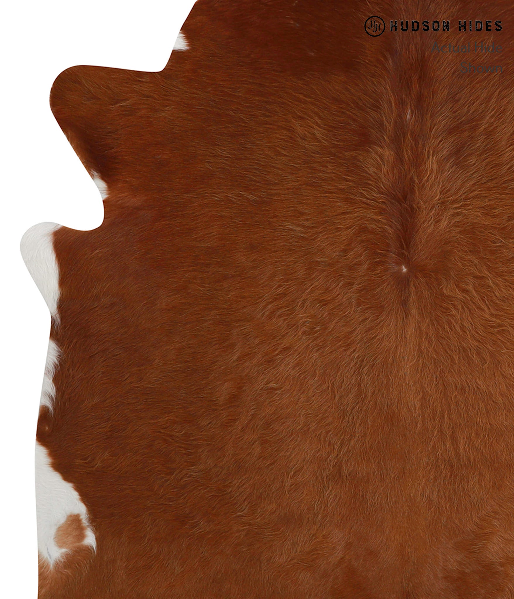 Solid Brown Cowhide Rug #84802
