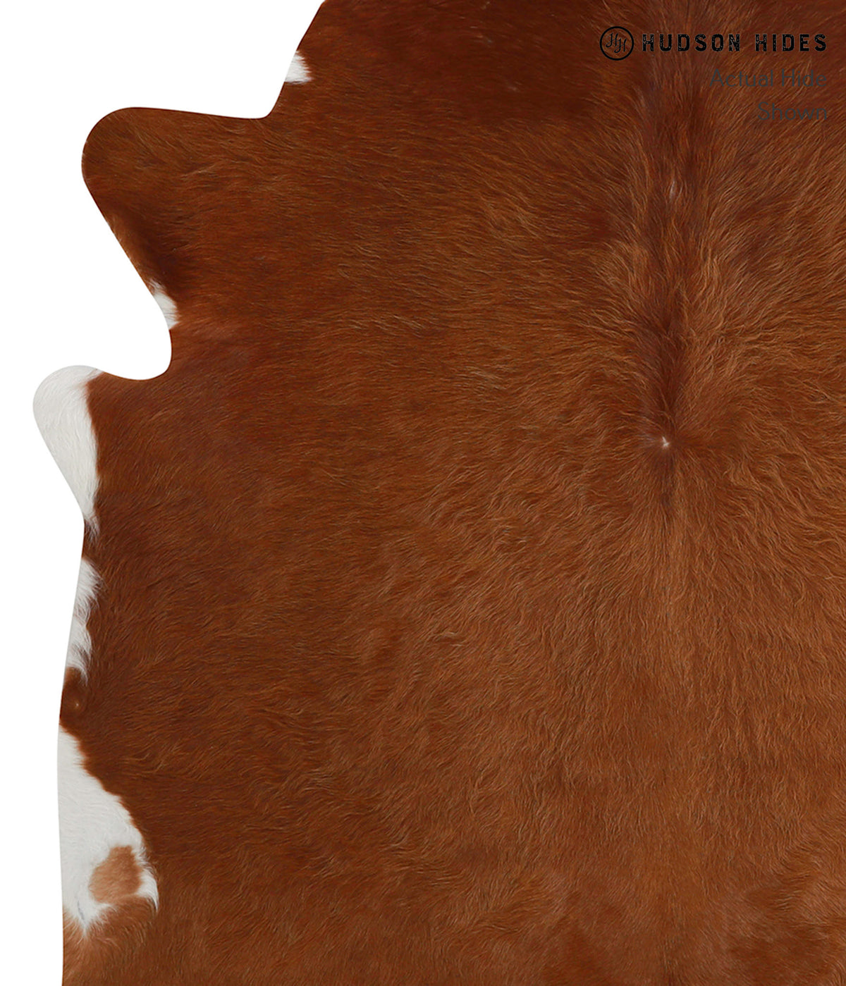 Solid Brown Cowhide Rug #84802
