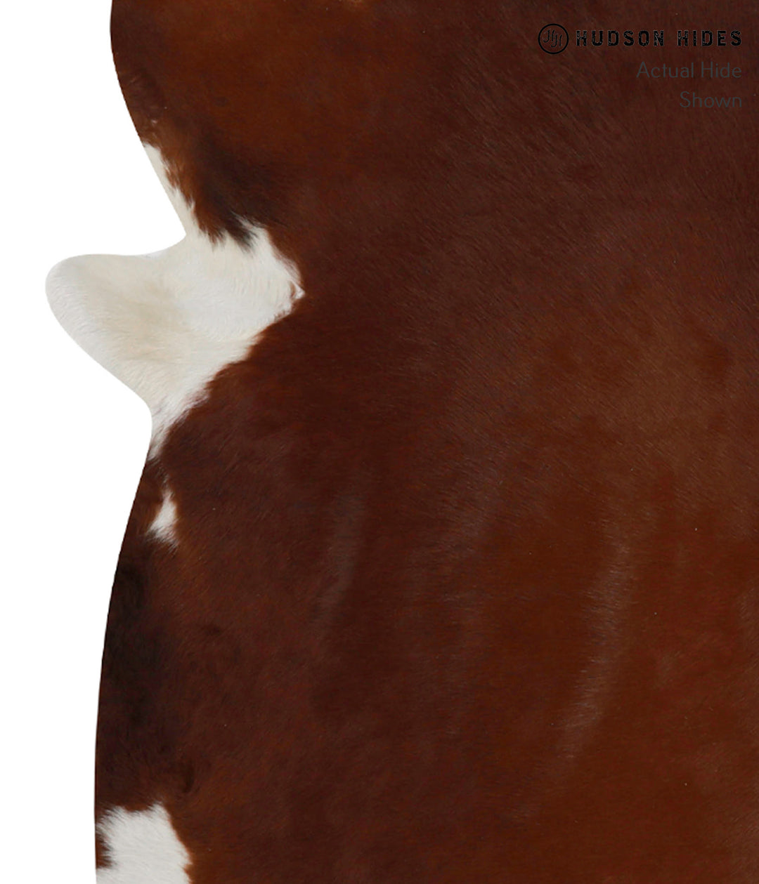 Brown and White Regular Large Brazilian Cowhide Rug 5'10"H x 6'4"W #84