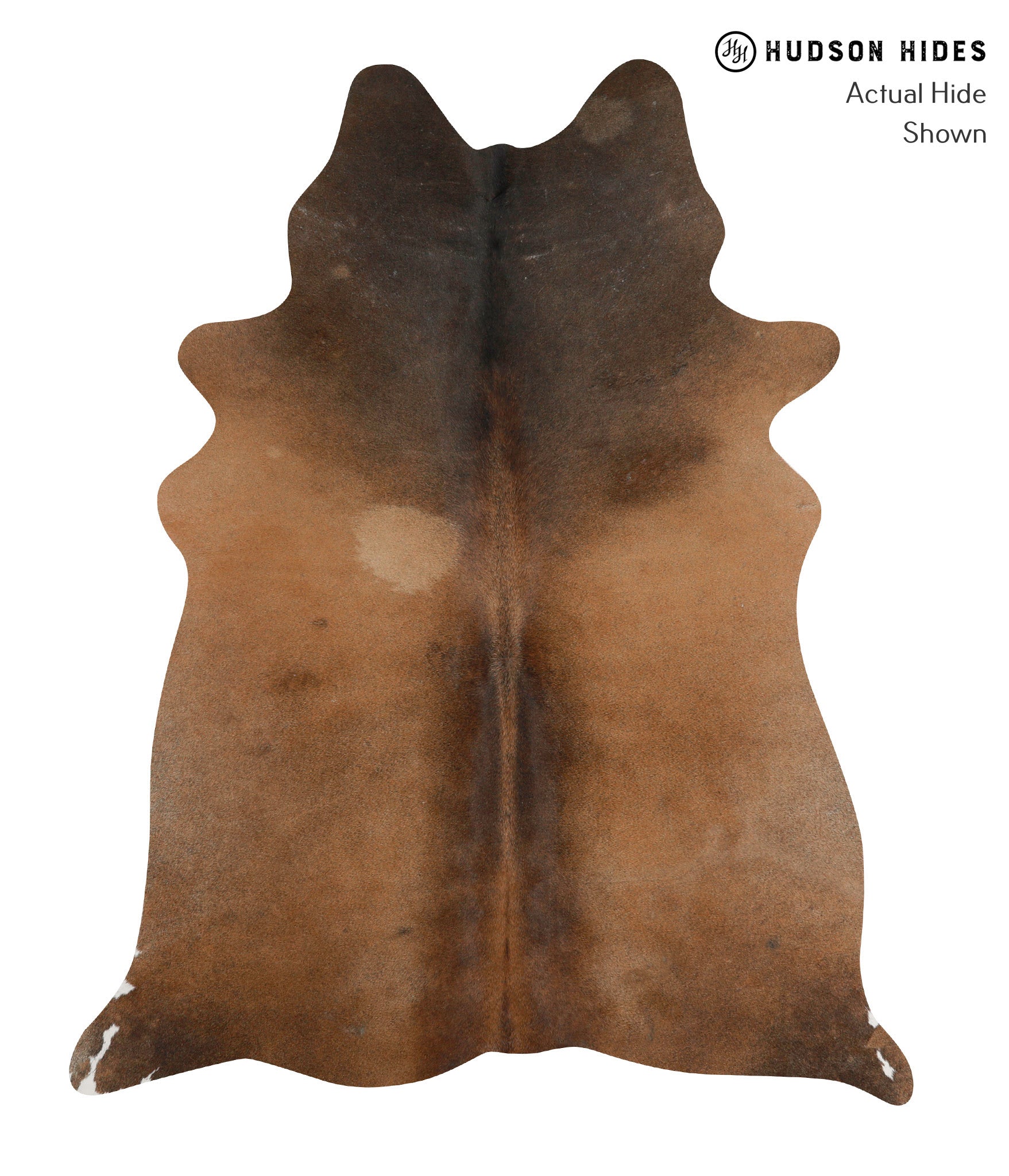 Chocolate Cowhide Rug #84872
