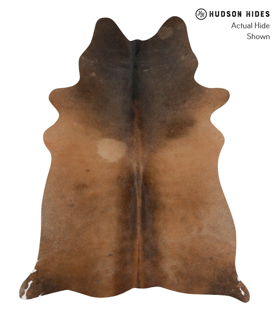 Chocolate Large Brazilian Cowhide Rug 6'4"H x 5'1"W #84872 by Hudson Hides