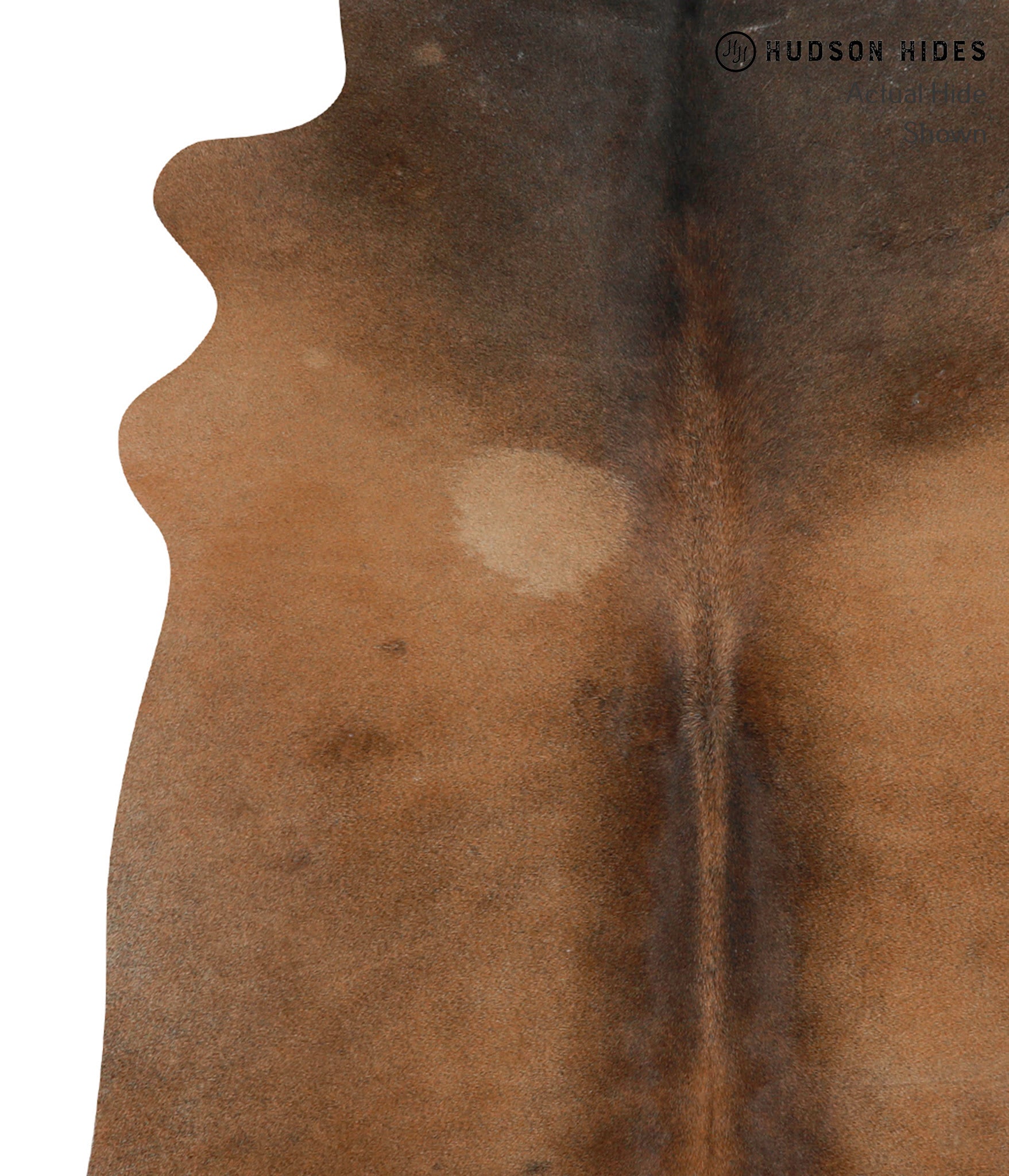 Chocolate Cowhide Rug #84872