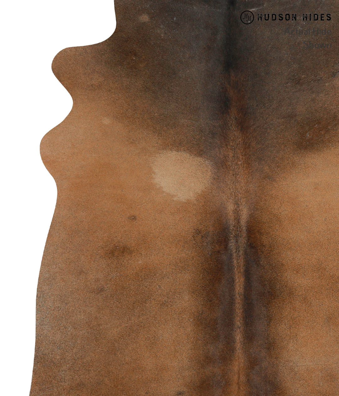 Chocolate Large Brazilian Cowhide Rug 6'4"H x 5'1"W #84872 by Hudson H