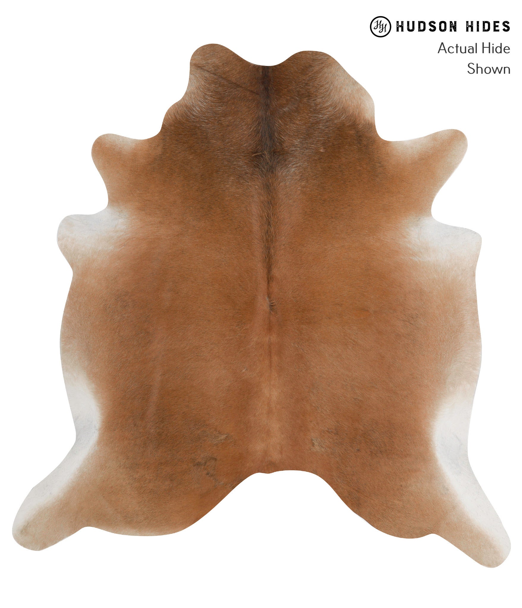 Solid Brown Cowhide Rug #84884