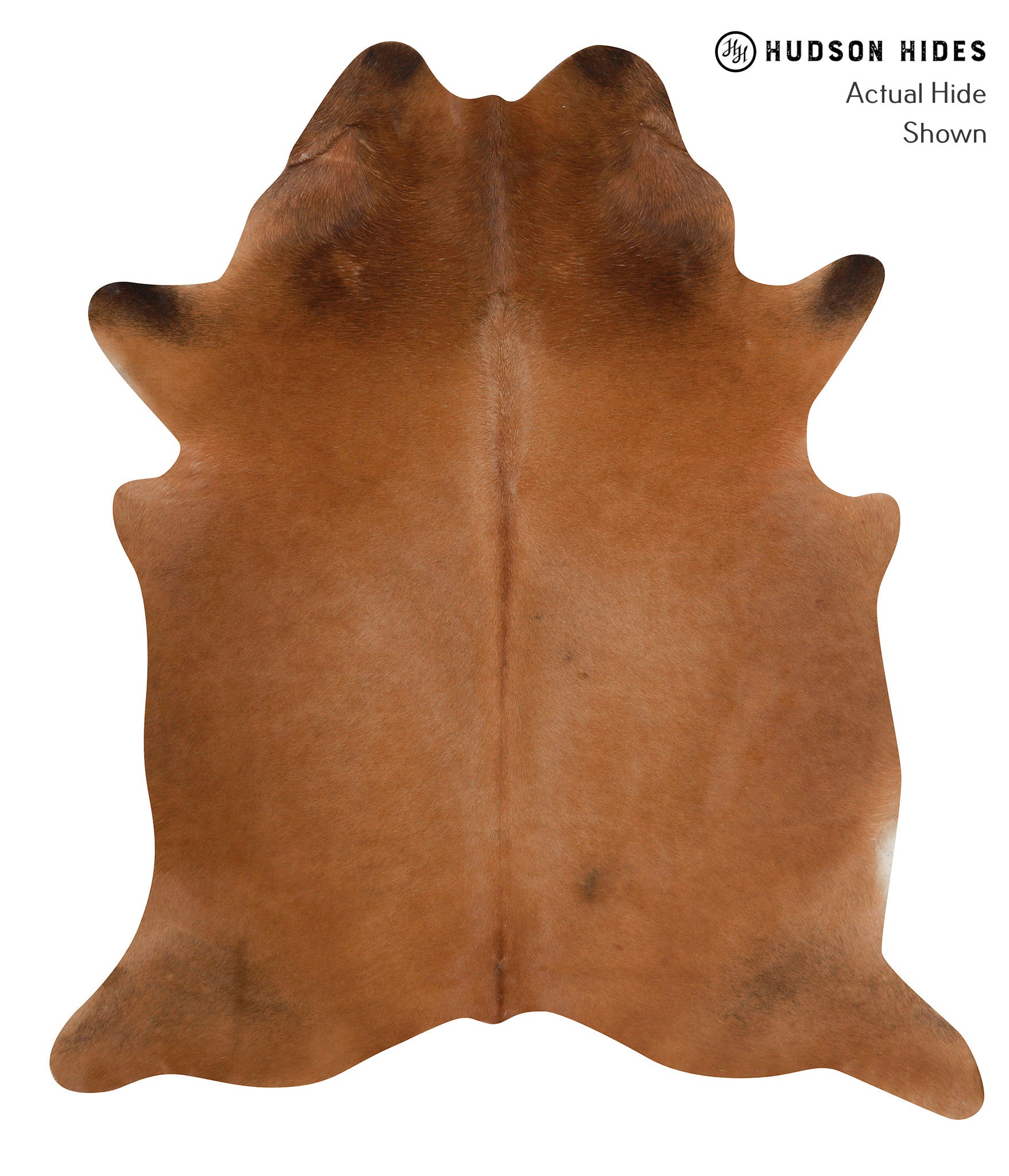 Solid Brown Cowhide Rug #84895