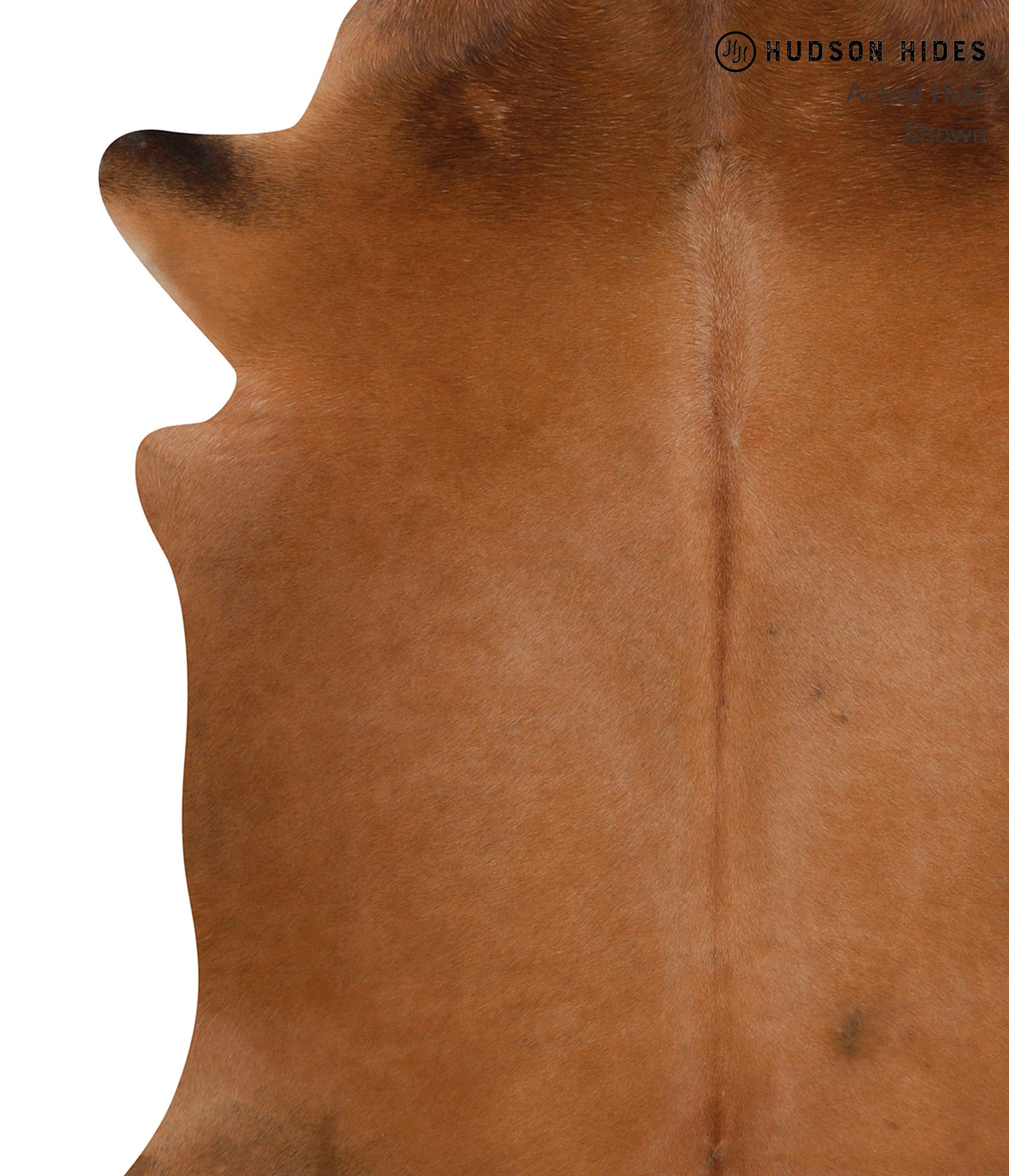 Solid Brown Cowhide Rug #84895