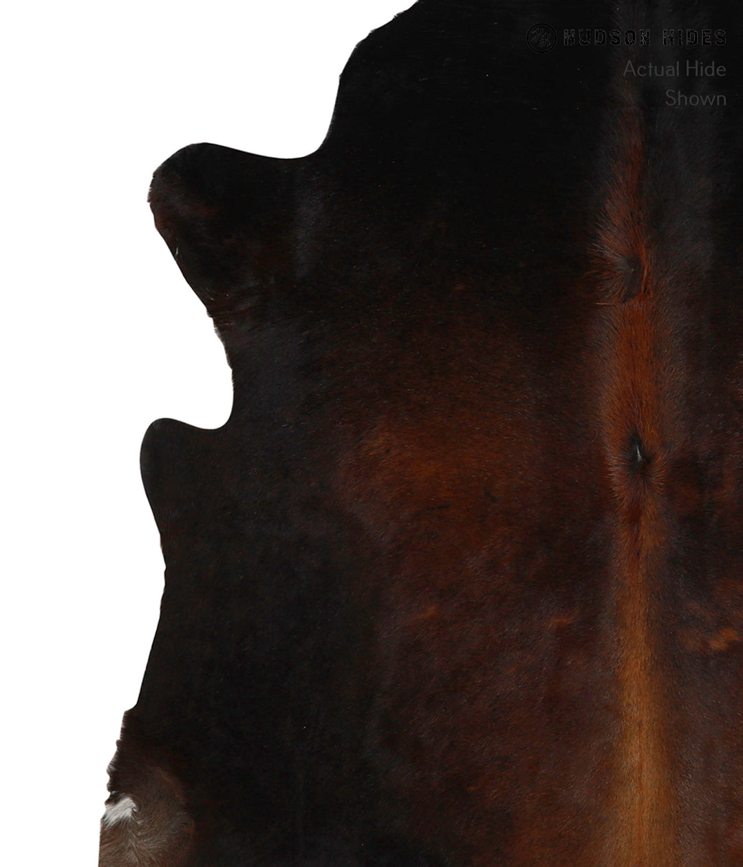 Chocolate Large Brazilian Cowhide Rug 6'7"H x 5'11"W #85229 by Hudson 