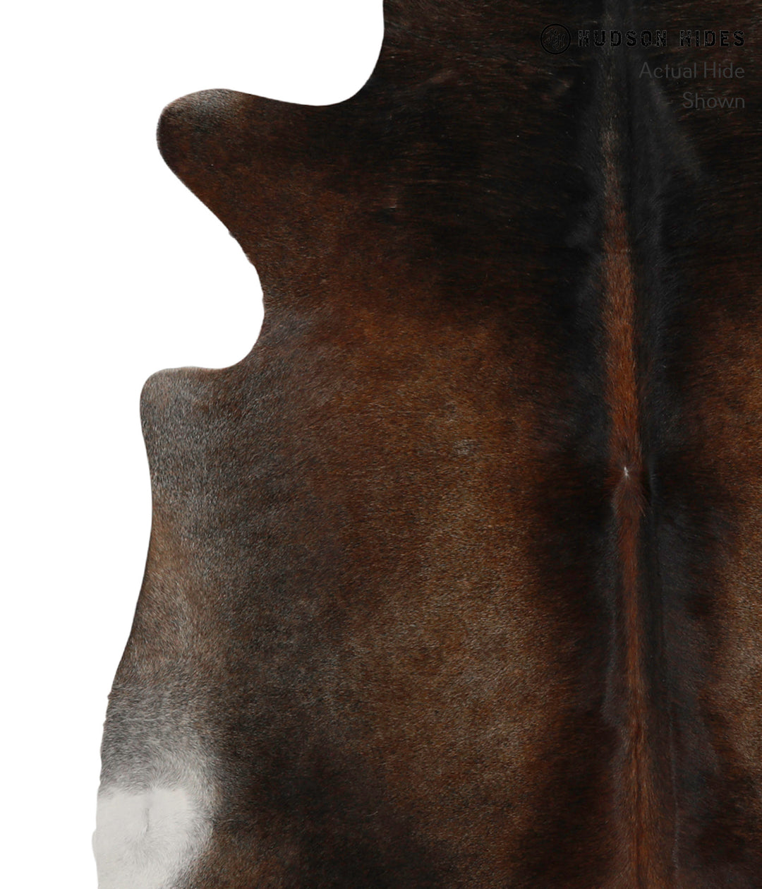 Chocolate X-Large Brazilian Cowhide Rug 6'7"H x 6'1"W #85231 by Hudson