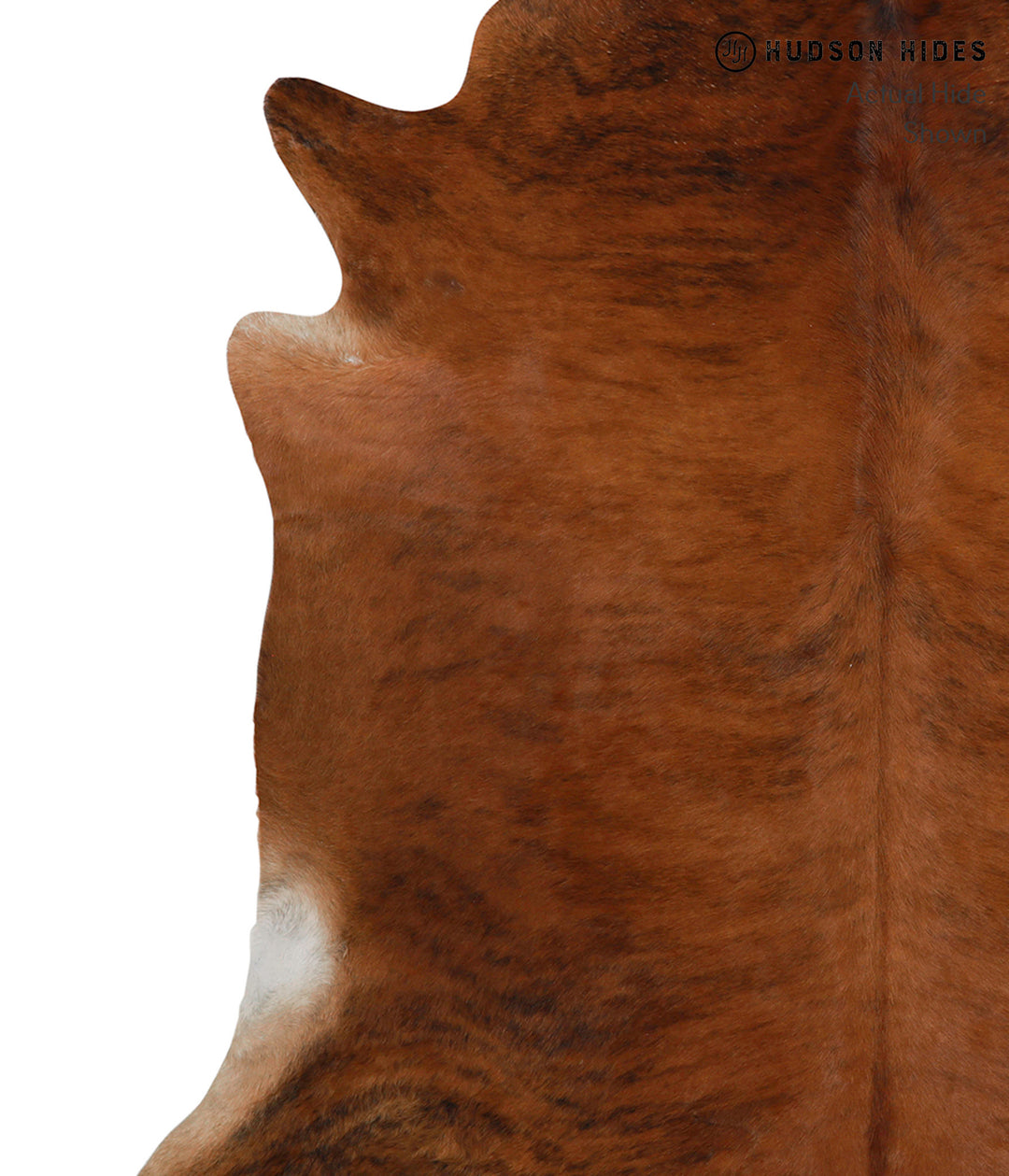 Medium Brindle XX-Large Brazilian Cowhide Rug 7'1"H x 7'2"W #85232 by 