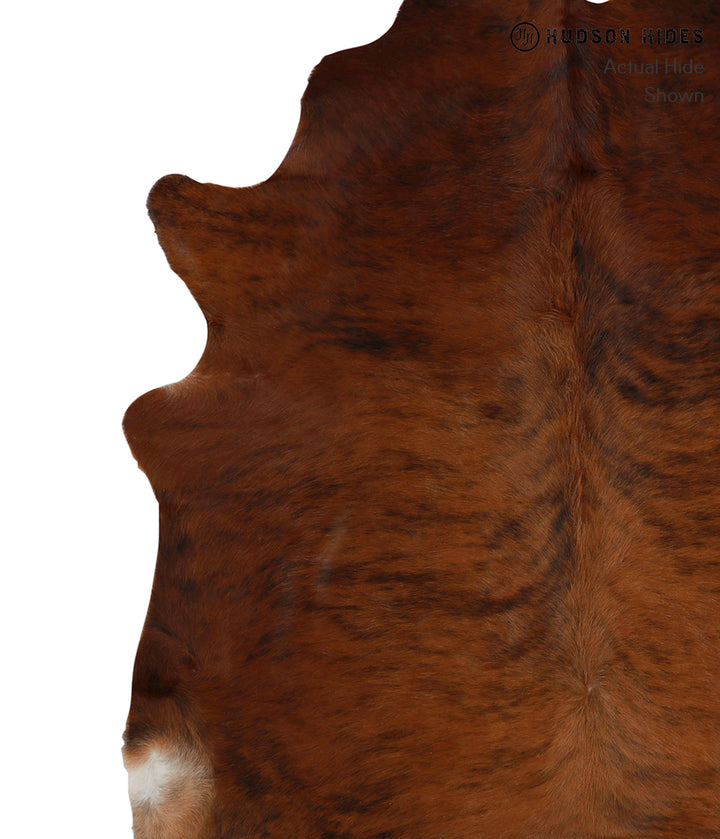 Medium Brindle X-Large Brazilian Cowhide Rug 7'0"H x 6'7"W #85237 by Hudson Hides