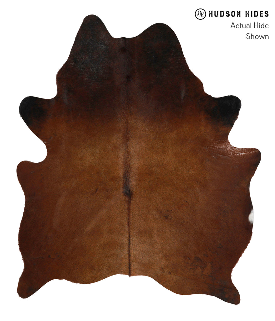Chocolate Large Brazilian Cowhide Rug 6'6"H x 5'7"W #85255 by Hudson Hides