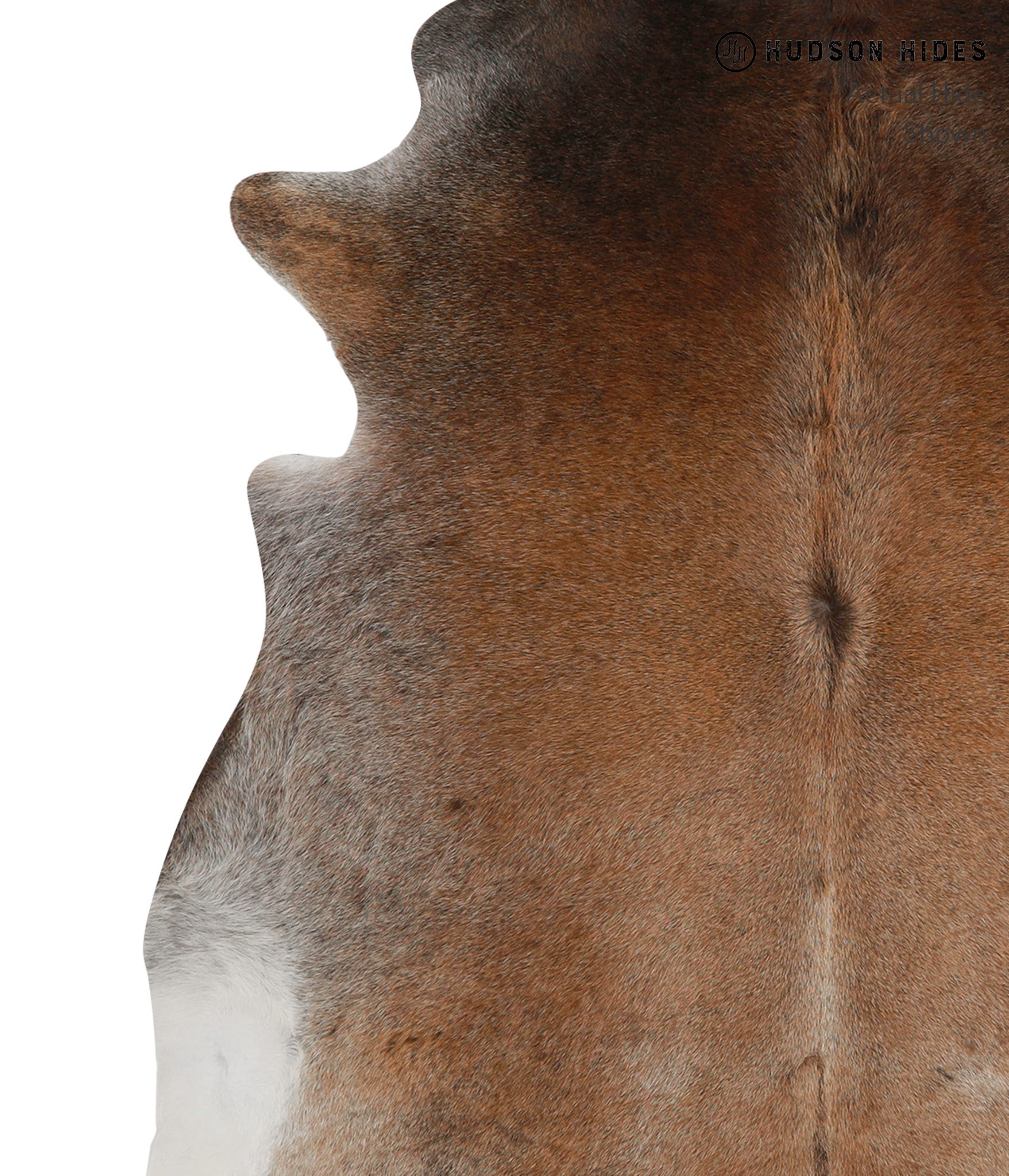 Grey with Beige Cowhide Rug #85258