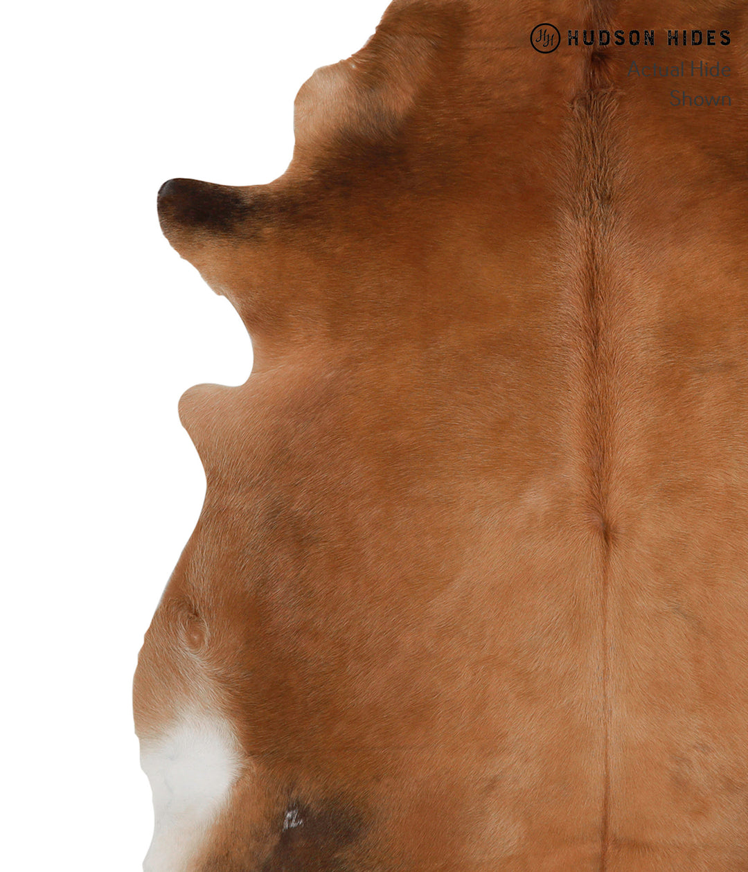 Solid Brown X-Large Brazilian Cowhide Rug 6'7"H x 6'0"W #85259 by Huds