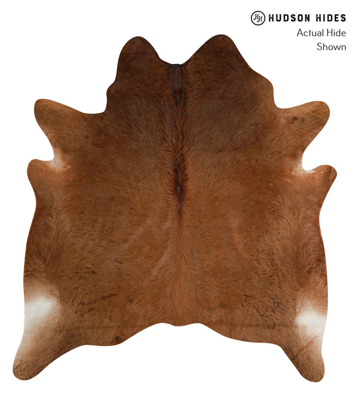 Solid Brown X-Large Brazilian Cowhide Rug 6'7"H x 6'1"W #85282 by Hudson Hides