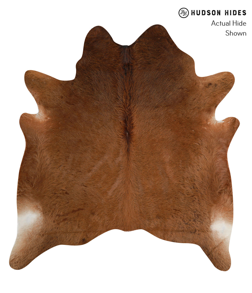Solid Brown X-Large Brazilian Cowhide Rug 6'7"H x 6'1"W #85282 by Hudson Hides