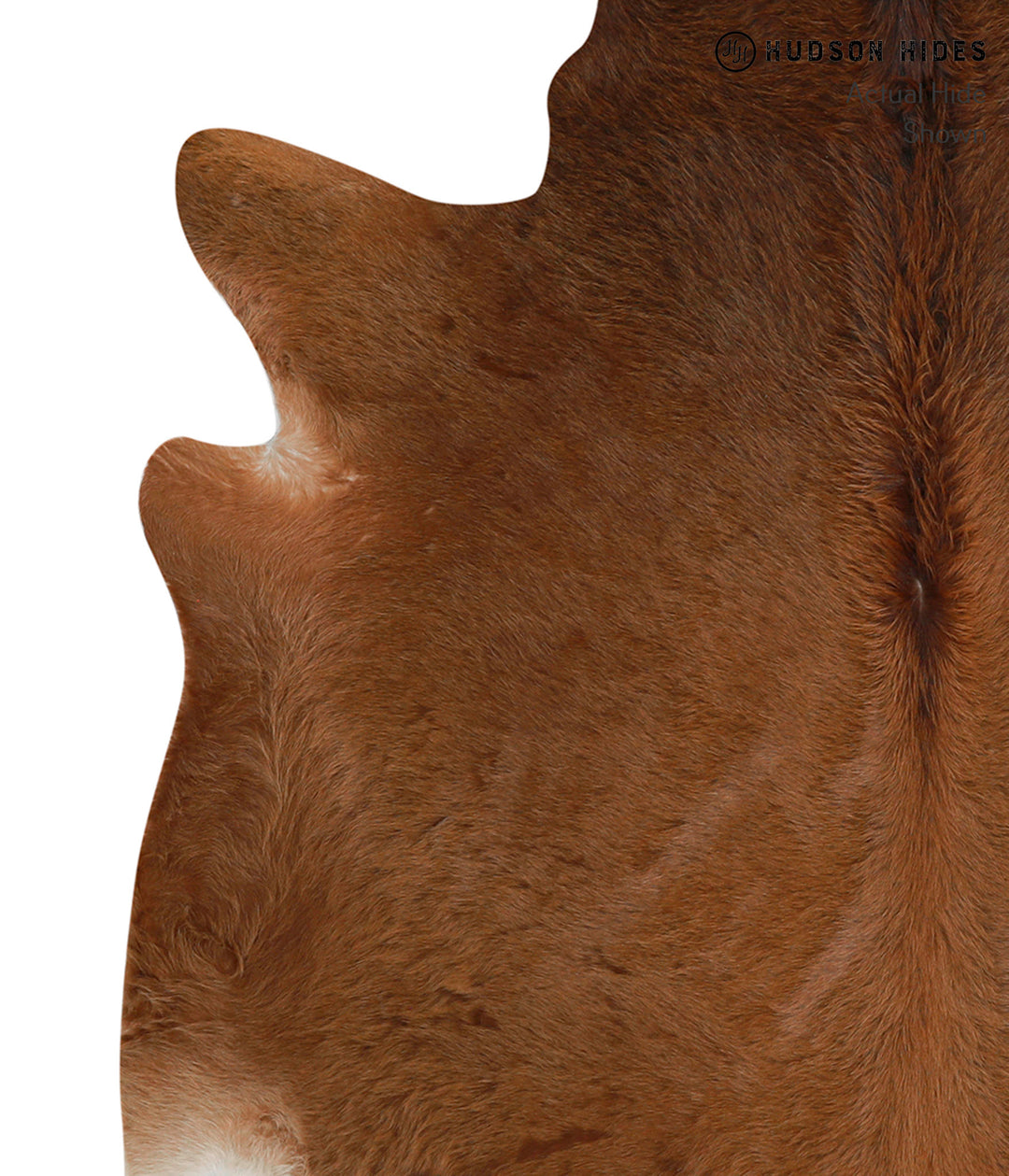 Solid Brown X-Large Brazilian Cowhide Rug 6'7"H x 6'1"W #85282 by Huds