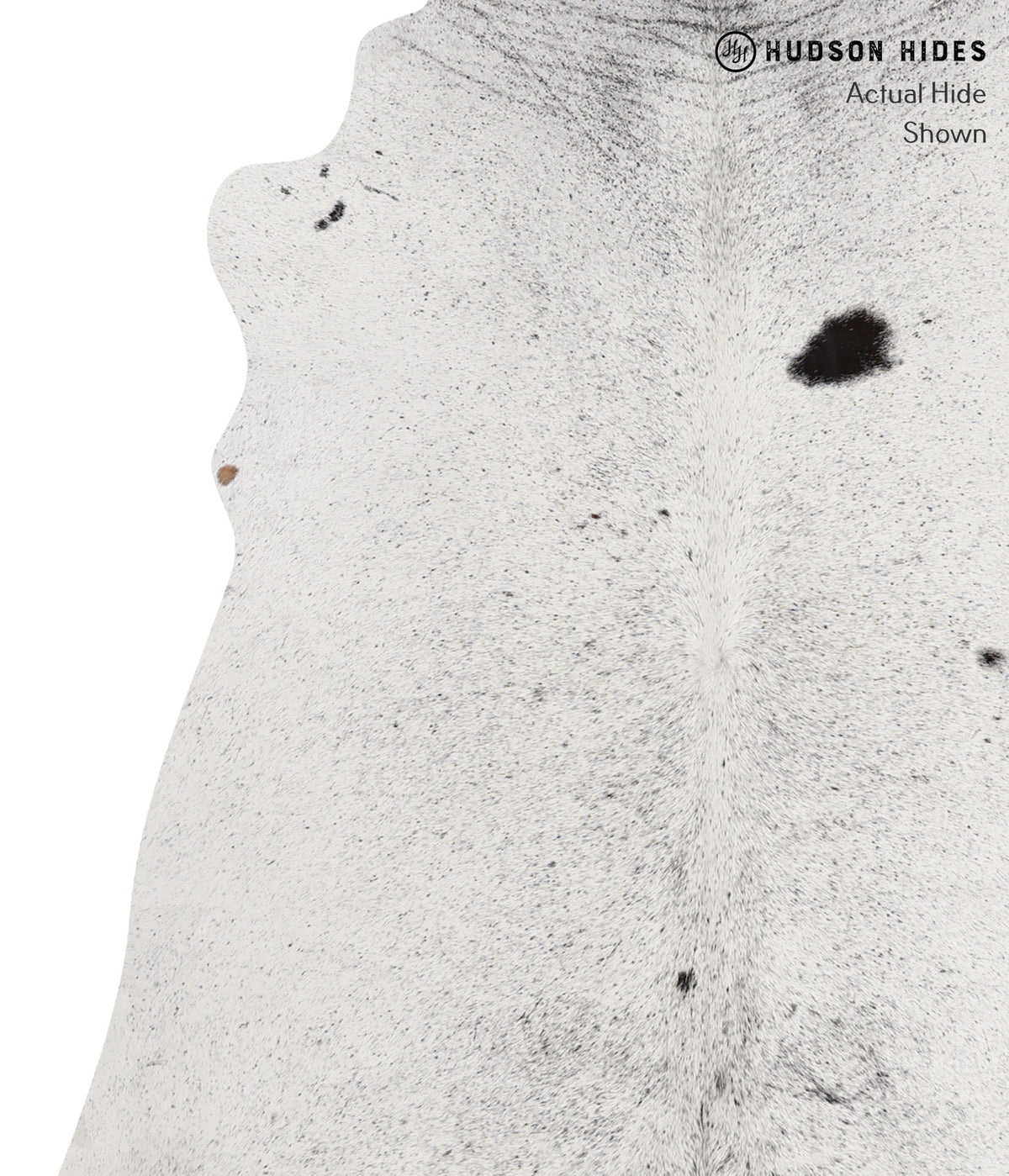 Salt and Pepper Black Large Brazilian Cowhide Rug 6'6"H x 6'0"W #85434 by Hudson Hides