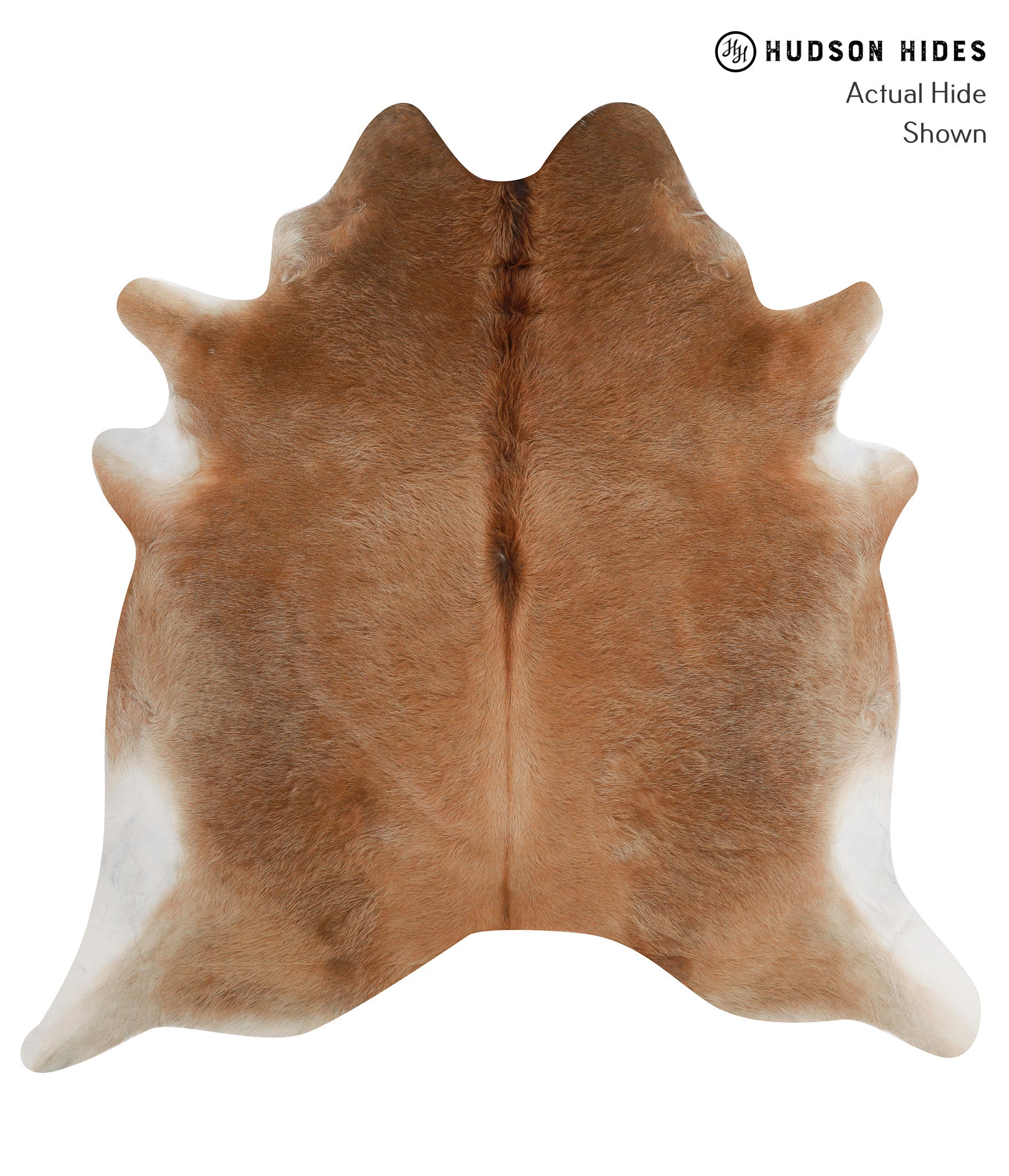 Brown with Red Cowhide Rug #85458