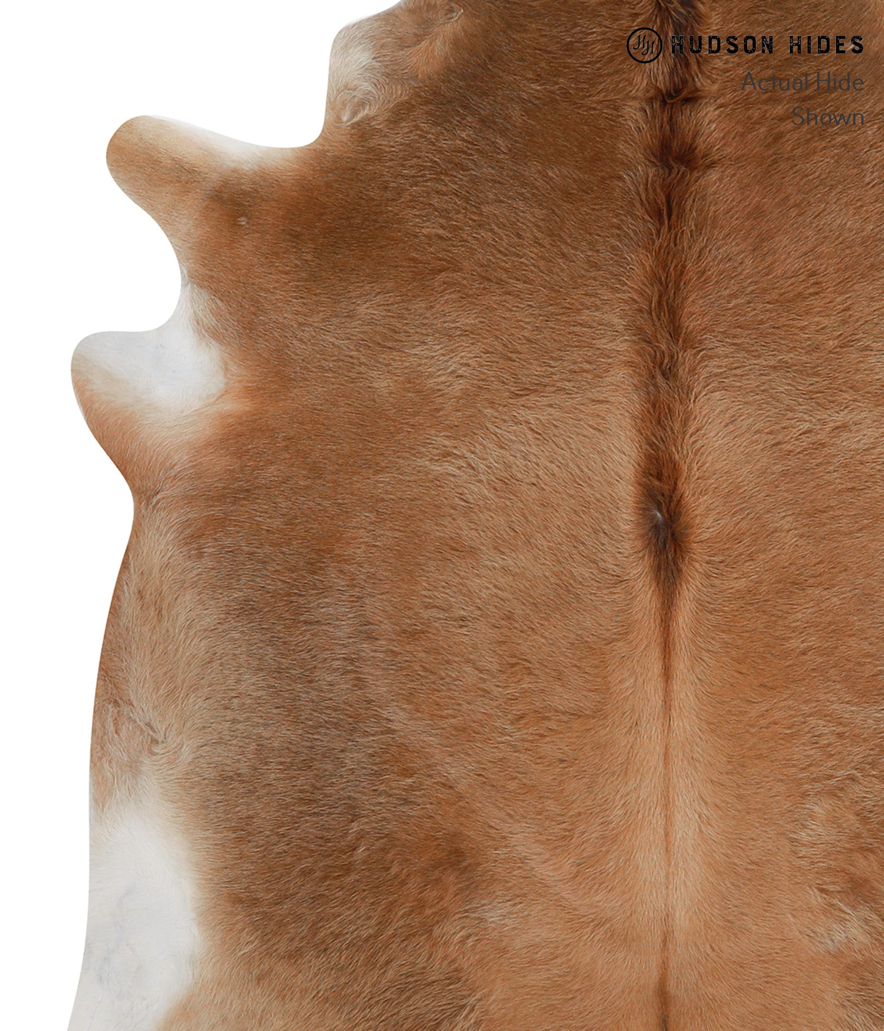 Brown with Red Cowhide Rug #85458