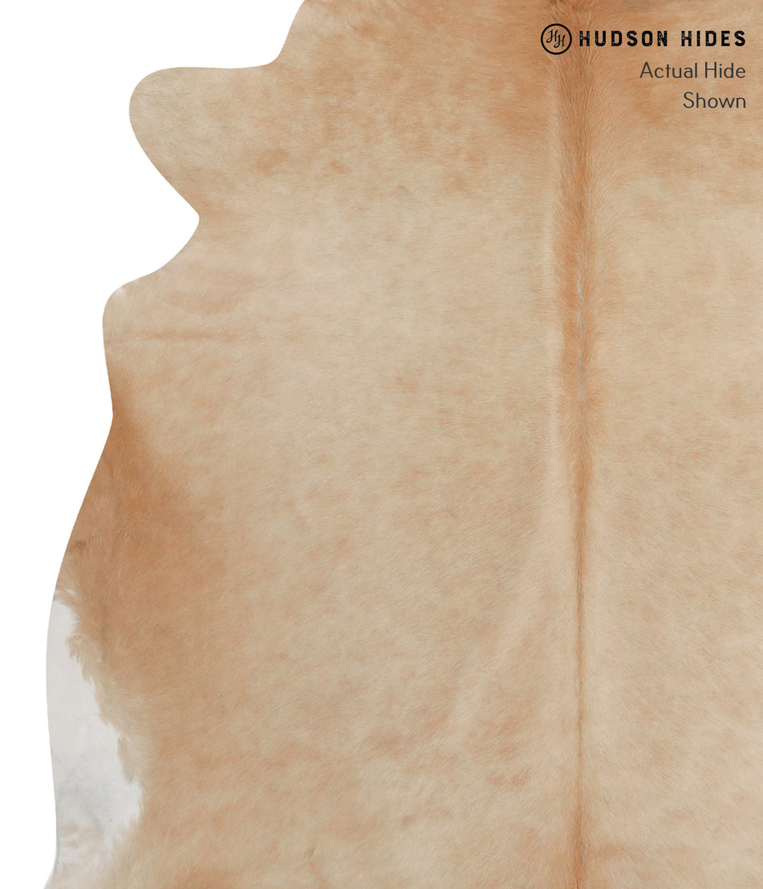 Beige X-Large Brazilian Cowhide Rug 7'0"H x 6'6"W #85464 by Hudson Hid