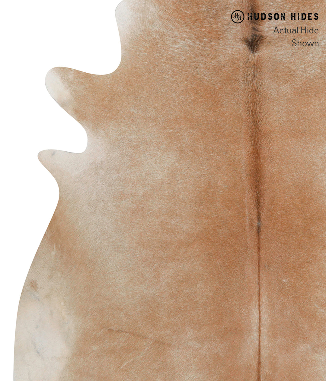 Beige X-Large Brazilian Cowhide Rug 6'4"H x 6'3"W #85469 by Hudson Hid