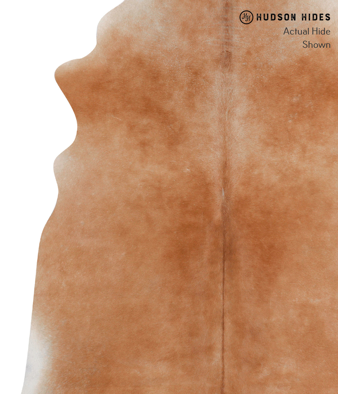 Solid Brown X-Large Brazilian Cowhide Rug 7'2"H x 6'1"W #85538 by Huds