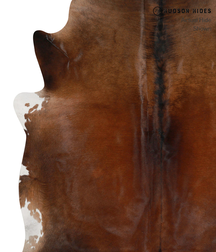Chocolate X-Large Brazilian Cowhide Rug 6'11"H x 6'2"W #85571 by Hudson Hides