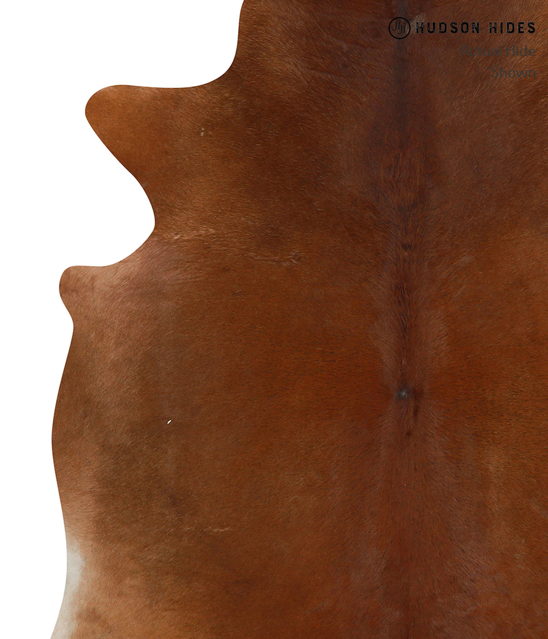 Solid Brown X-Large Brazilian Cowhide Rug 6'10"H x 6'2"W #85609 by Hud