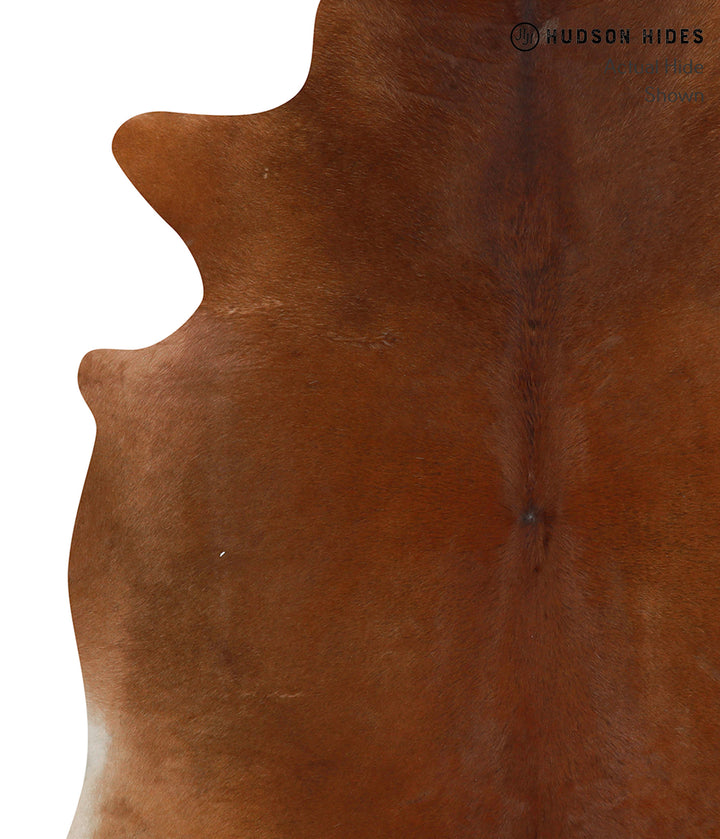 Solid Brown X-Large Brazilian Cowhide Rug 6'10"H x 6'2"W #85609 by Hudson Hides