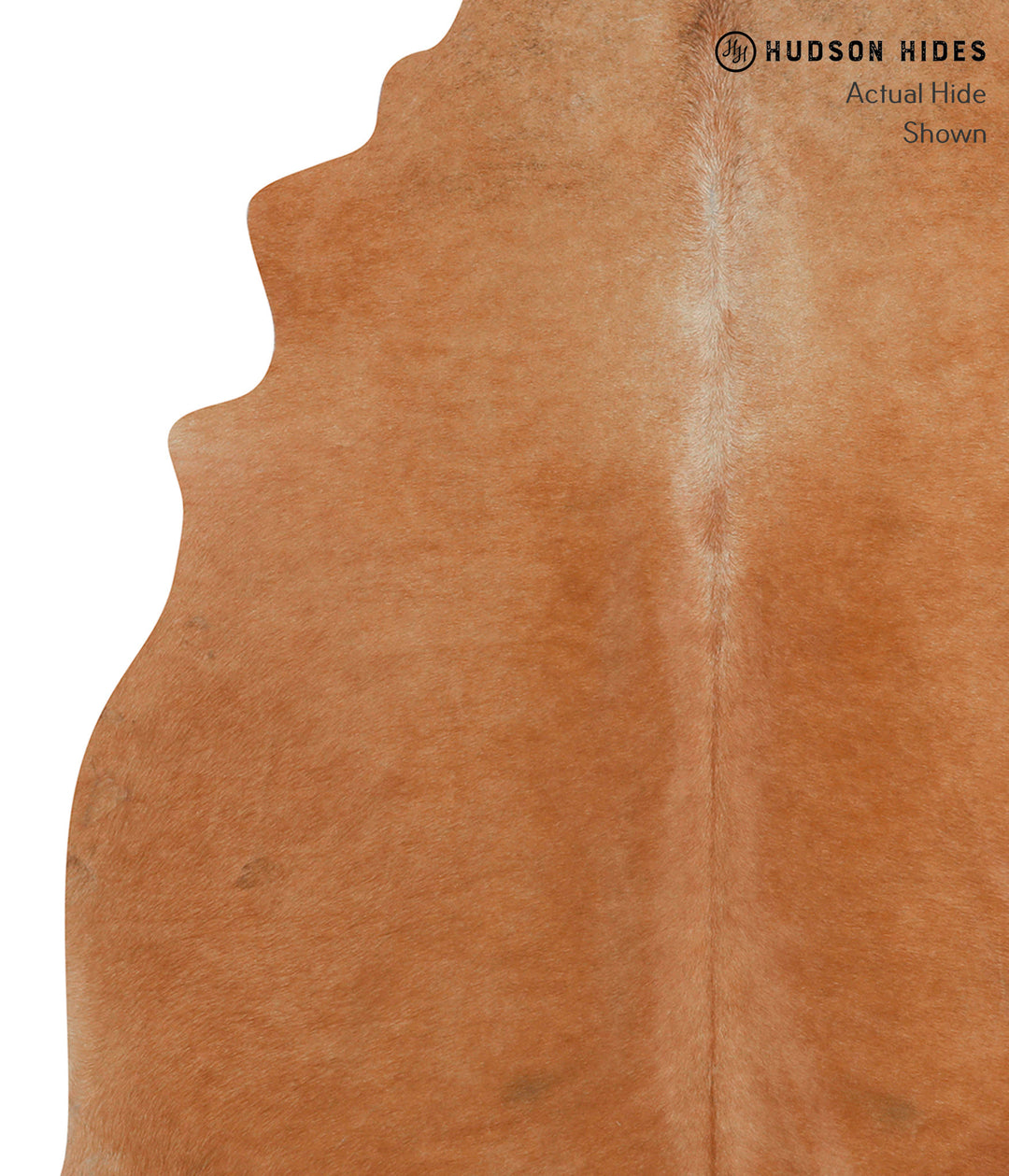 Solid Brown X-Large Brazilian Cowhide Rug 6'8"H x 6'4"W #85638 by Huds
