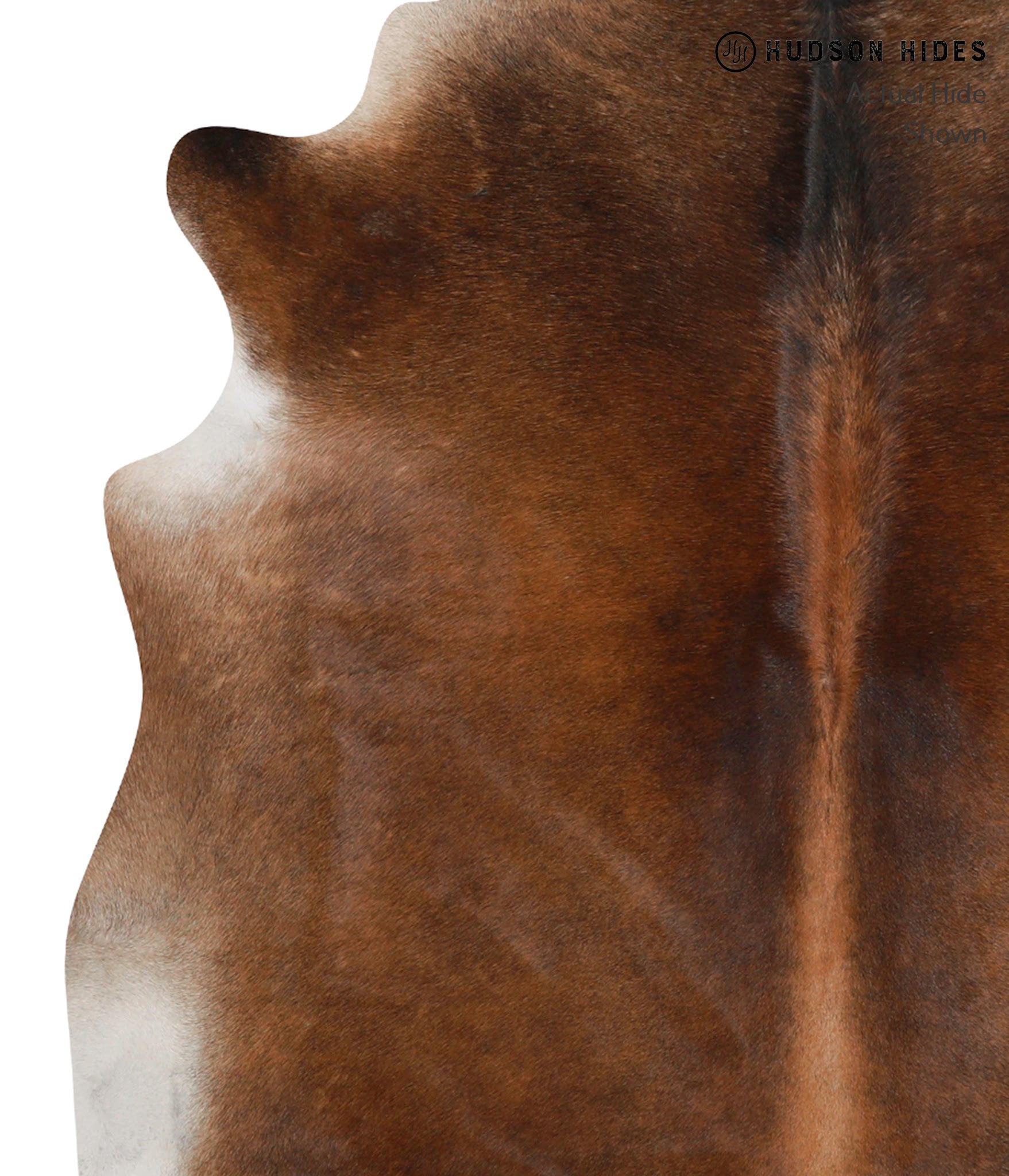 Chocolate Cowhide Rug #85639