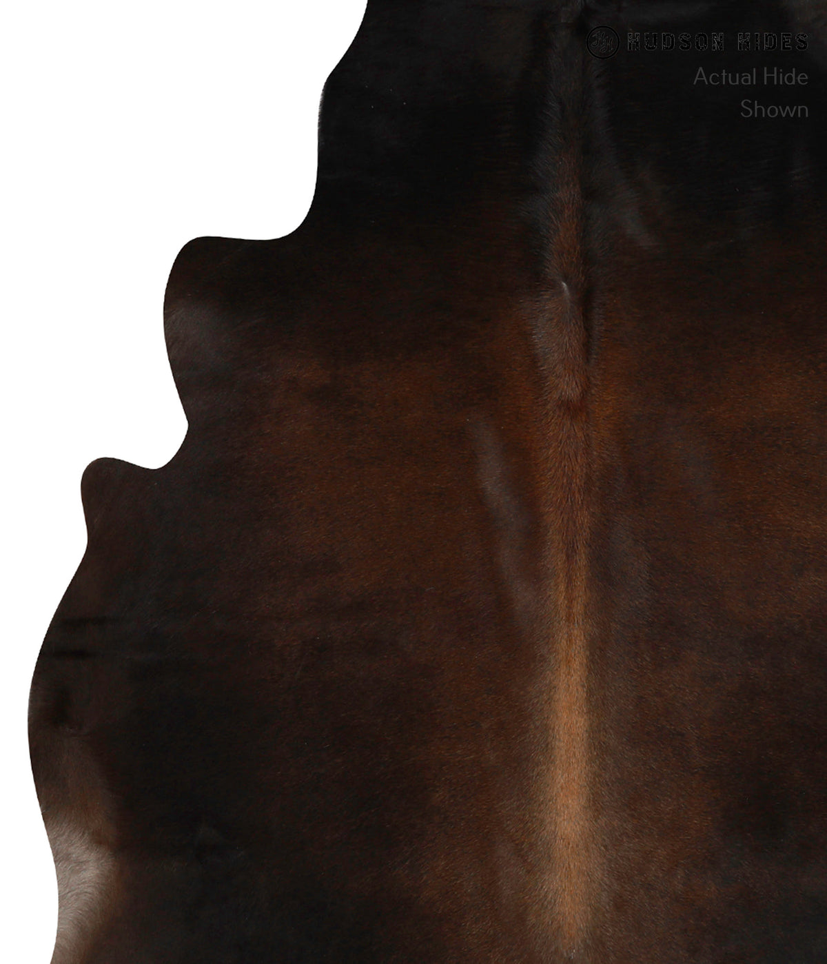 Chocolate X-Large Brazilian Cowhide Rug 6'10"H x 6'7"W #85656 by Hudson Hides