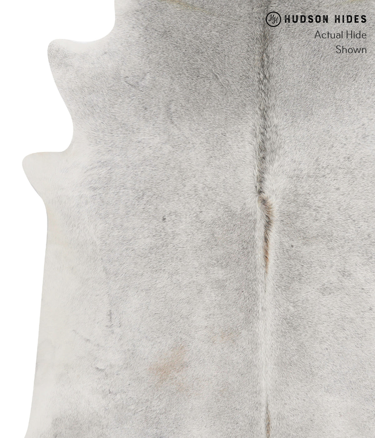 Medium Grey X-Large Brazilian Cowhide Rug 6'7"H x 6'5"W #85669 by Hudson Hides