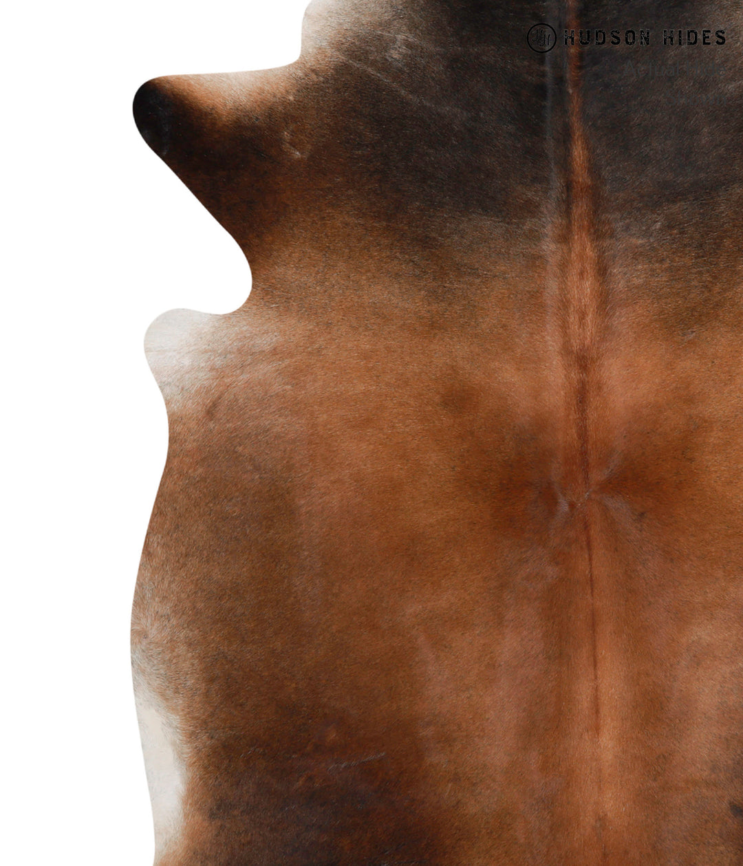 Chocolate X-Large Brazilian Cowhide Rug 7'1"H x 5'7"W #85930 by Hudson