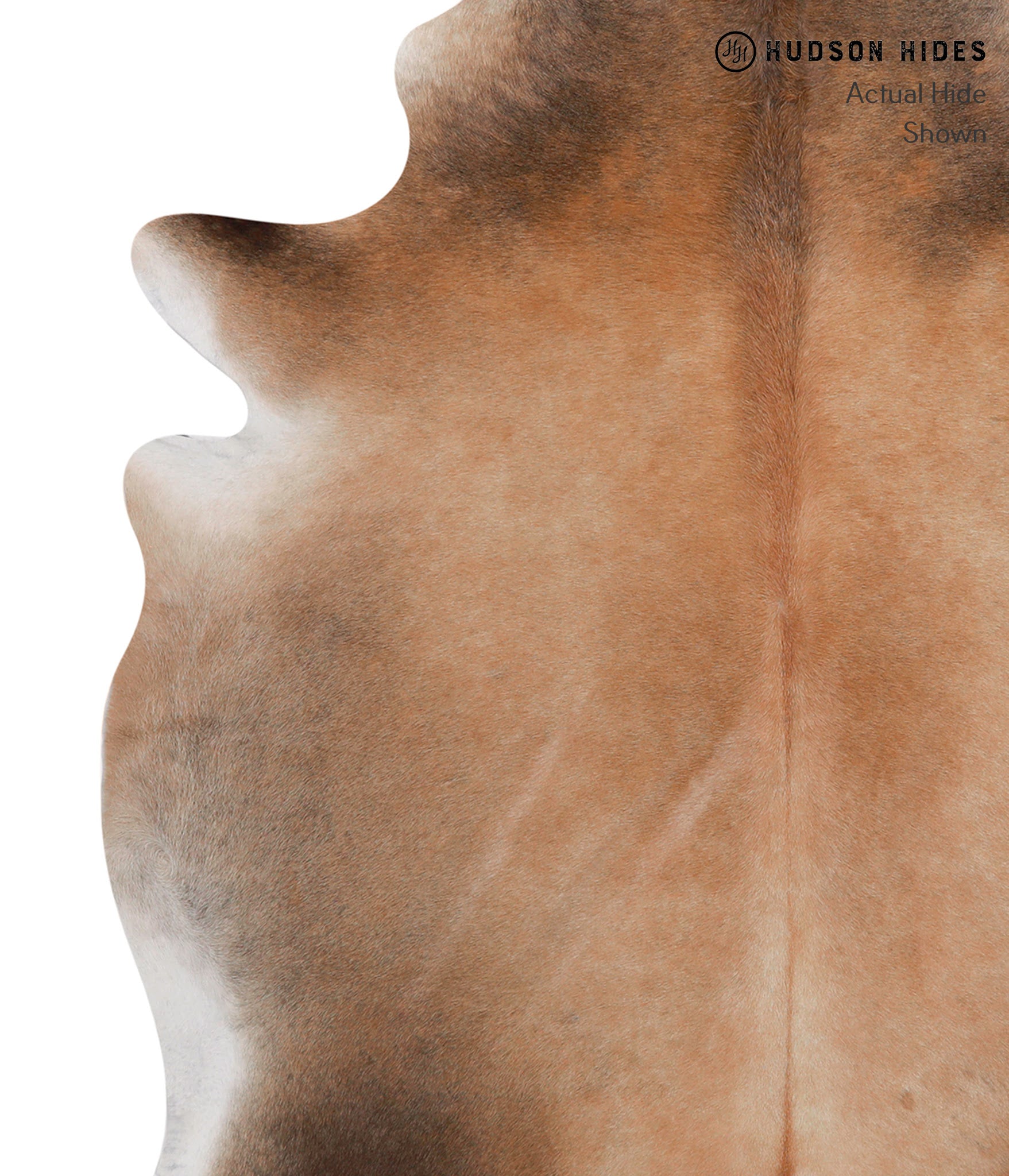 Brown with Red Cowhide Rug #85932