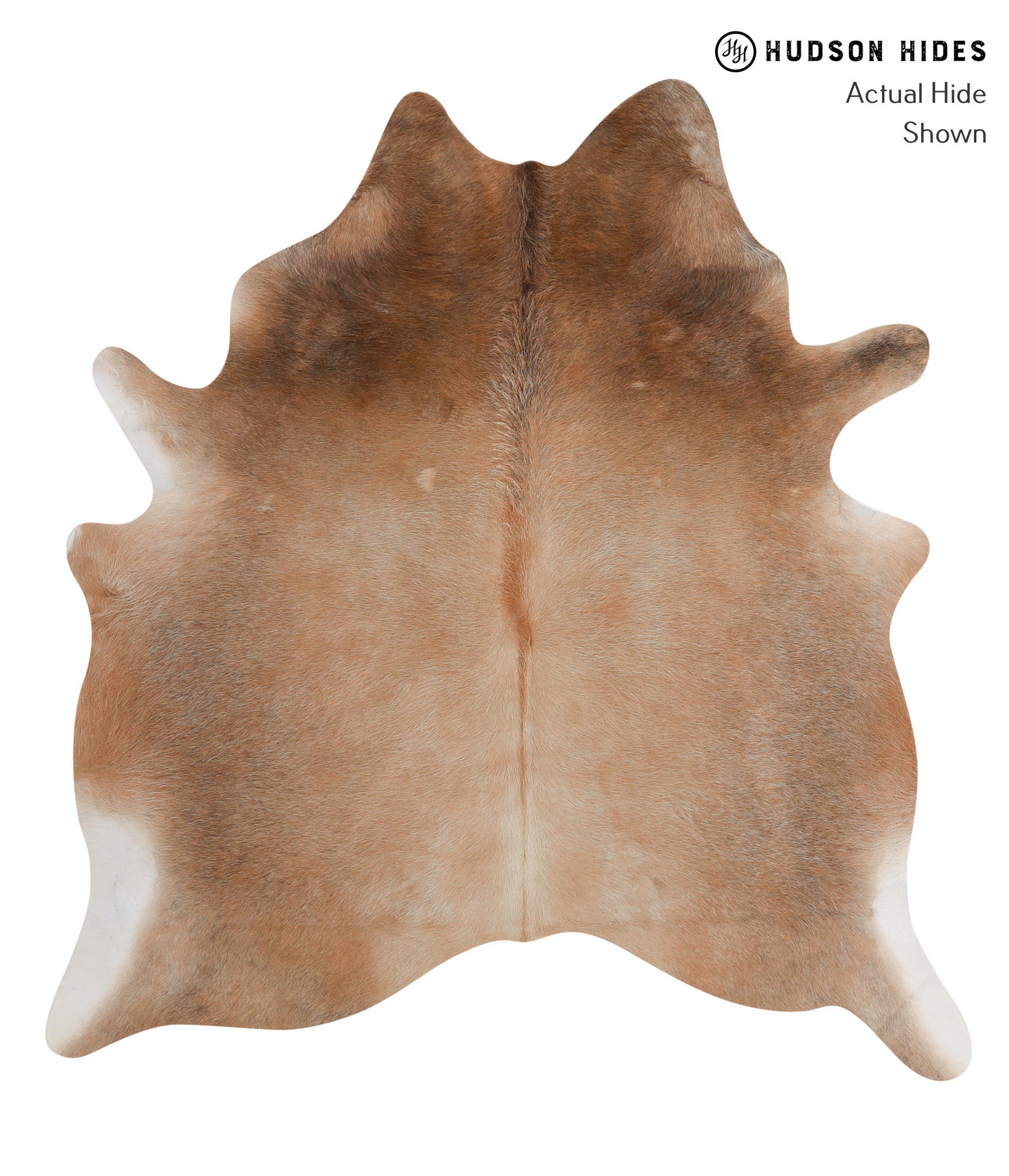 Brown with Red Cowhide Rug #85934