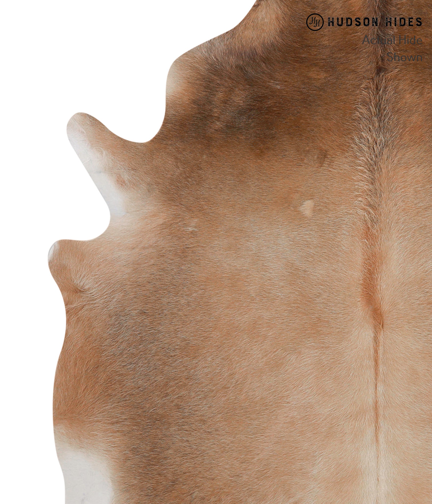 Brown with Red Cowhide Rug #85934