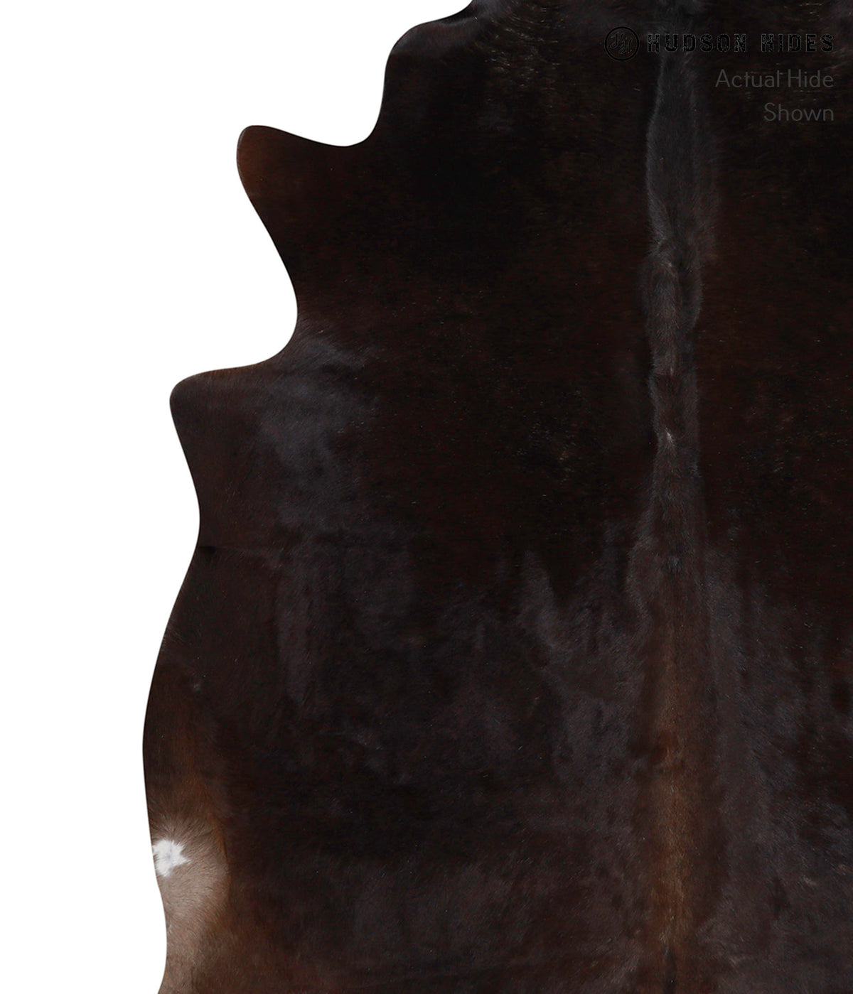 Chocolate X-Large Brazilian Cowhide Rug 6'9"H x 6'7"W #85945 by Hudson Hides