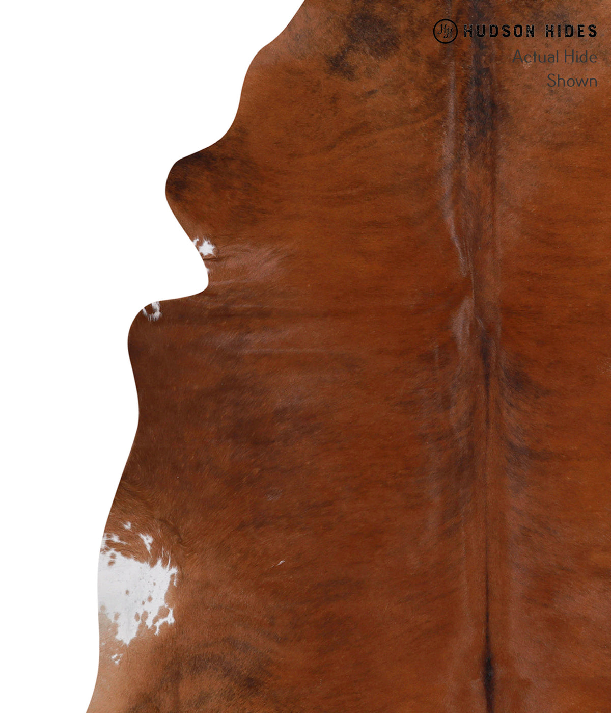 Medium Brindle X-Large Brazilian Cowhide Rug 6'5"H x 6'3"W #86044 by Hudson Hides