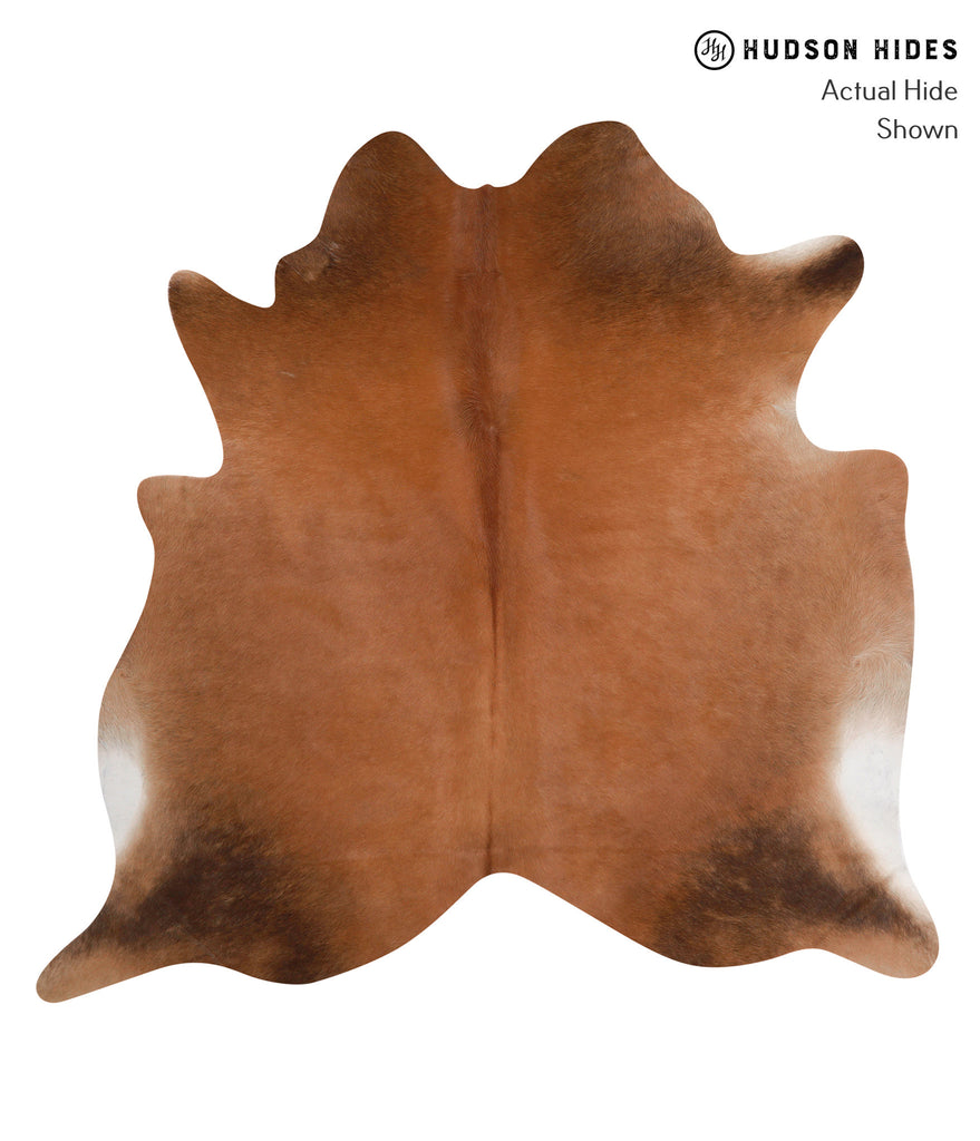 Solid Brown X-Large Brazilian Cowhide Rug 6'3"H x 6'5"W #86069 by Hudson Hides